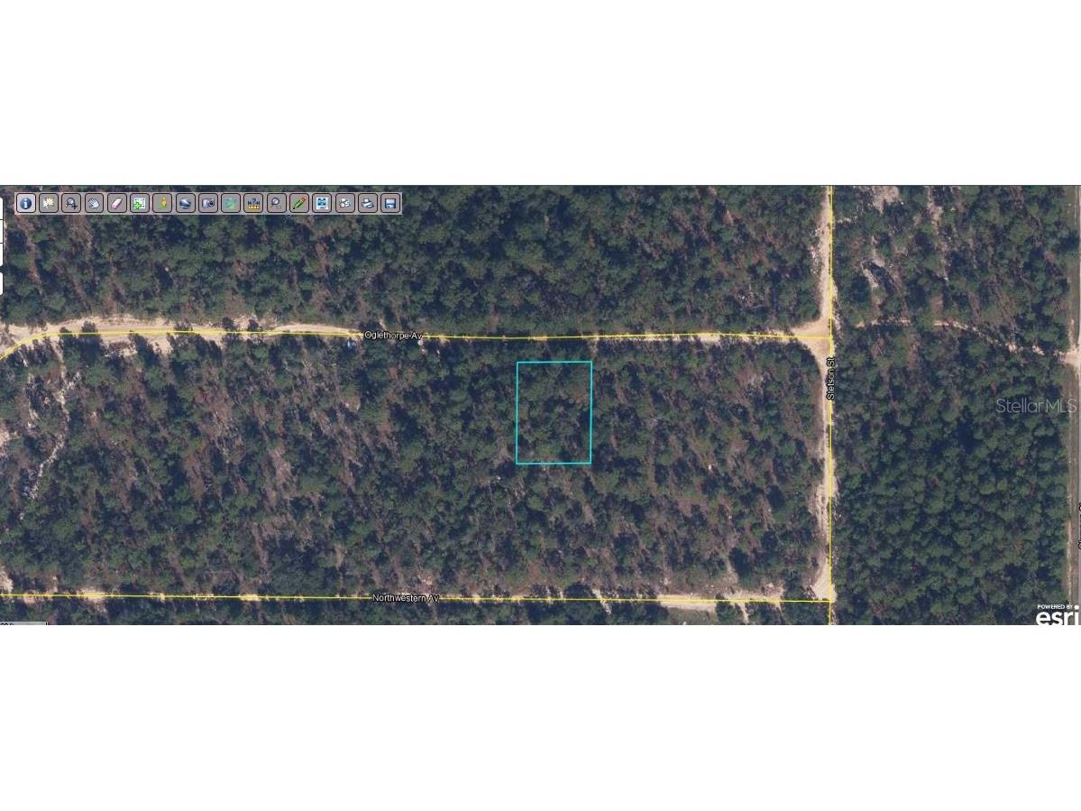 6213 Olgethorpe Avenue Keystone Heights FL 32656 O6231507 image1