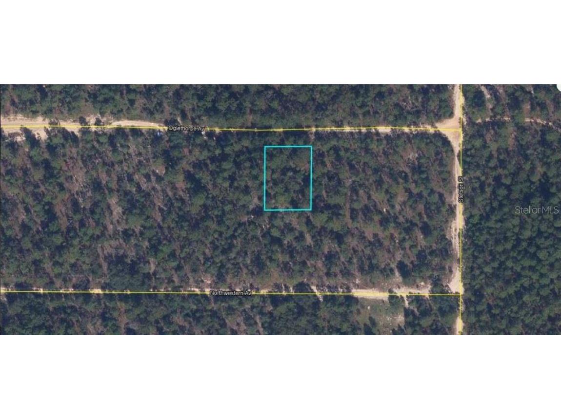 6213 Olgethorpe Avenue Keystone Heights FL 32656 O6231507 image2