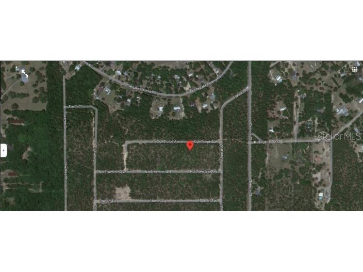 6213 Olgethorpe Avenue Keystone Heights FL 32656 O6231507 image4