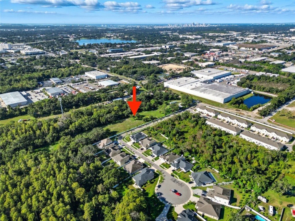 6213 Orient Road Tampa FL 33610 TB8405580 image8