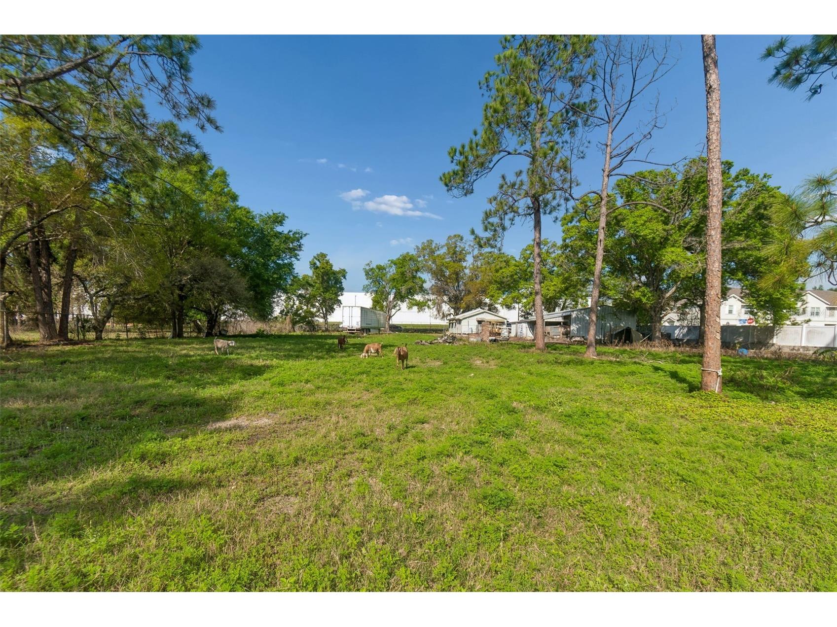 6213 Orient Road Tampa FL 33610 TB8486043 image43