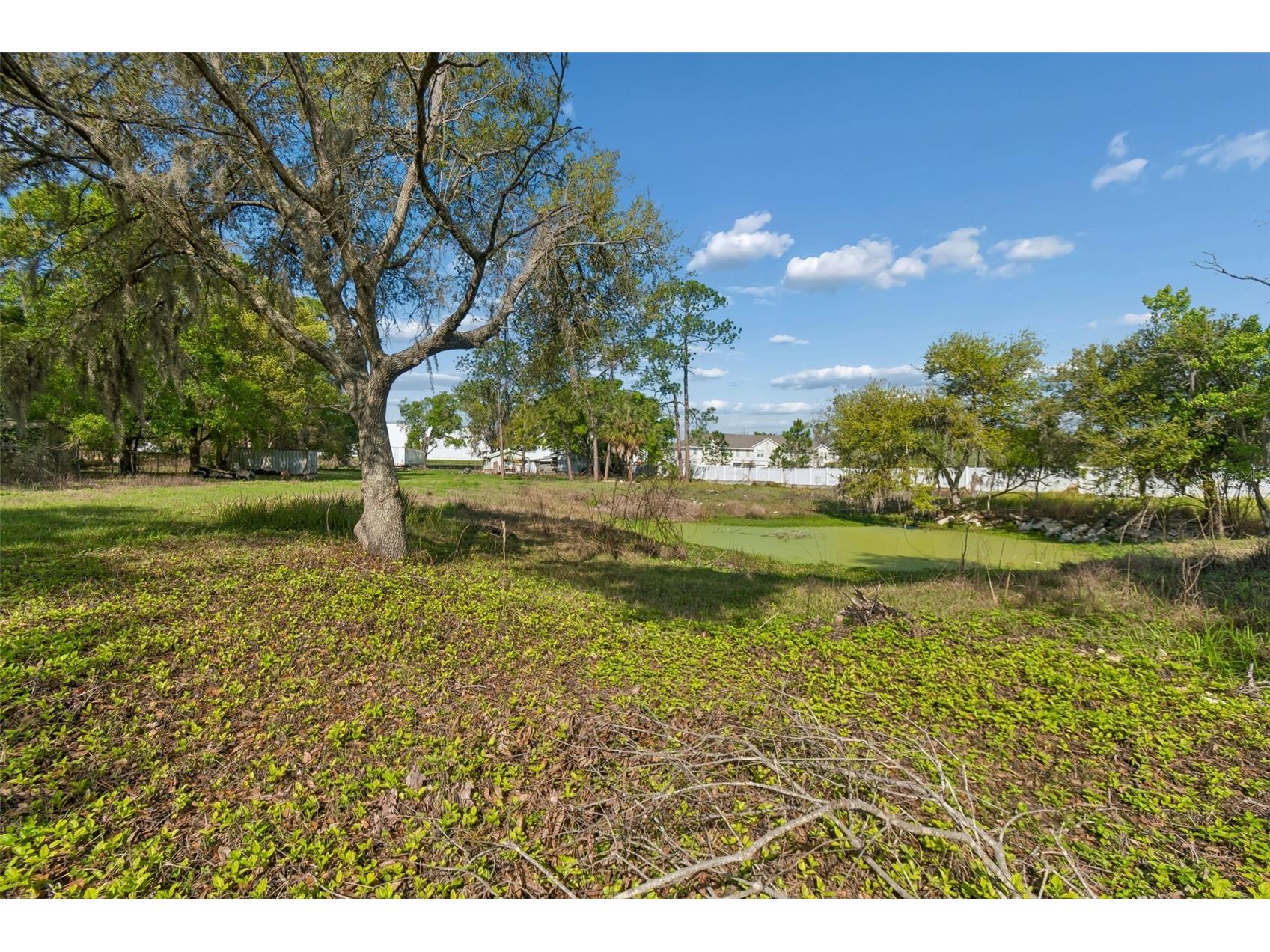 6213 Orient Road Tampa FL 33610 TB8486043 image47