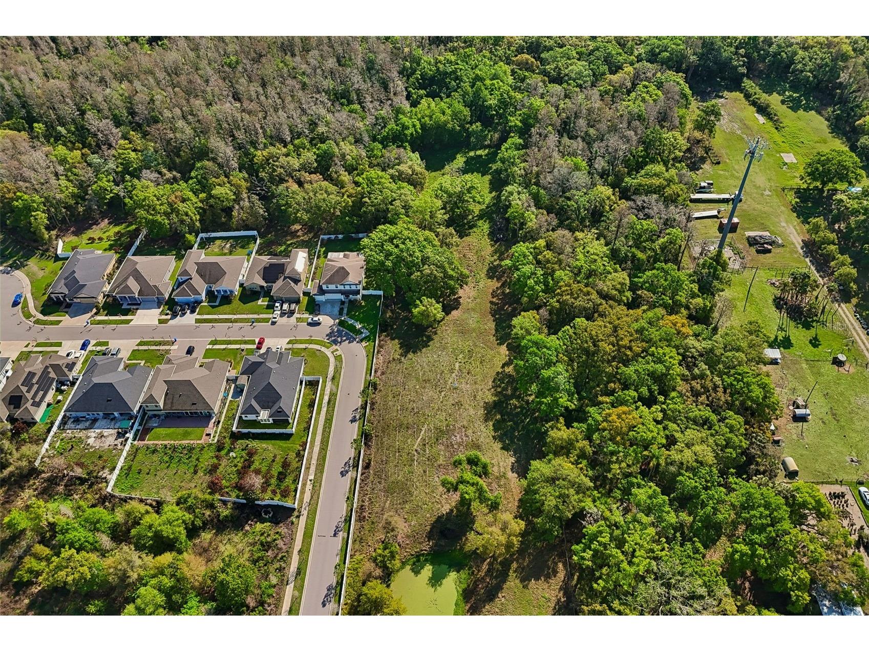 6213 Orient Road Tampa FL 33610 TB8489500 image29