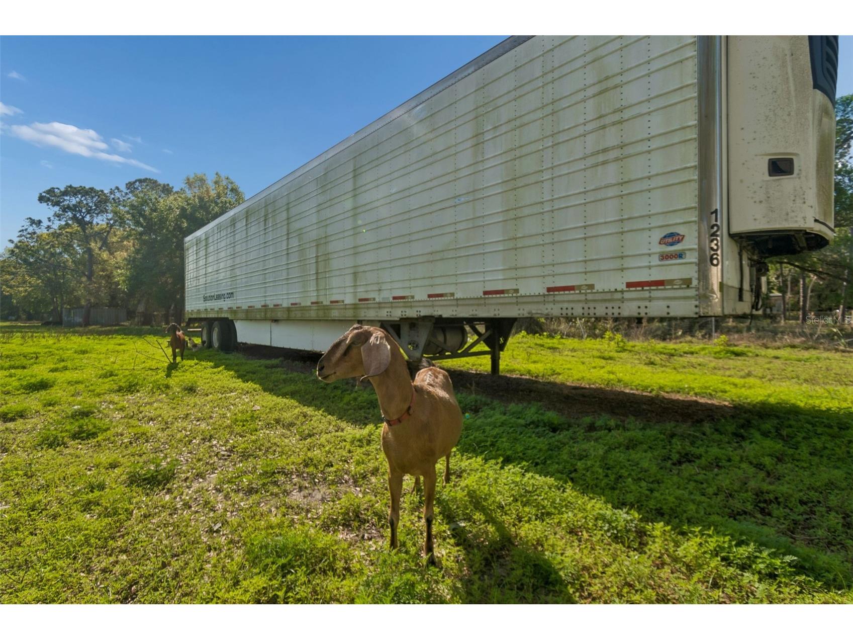 6213 Orient Road Tampa FL 33610 TB8489500 image36