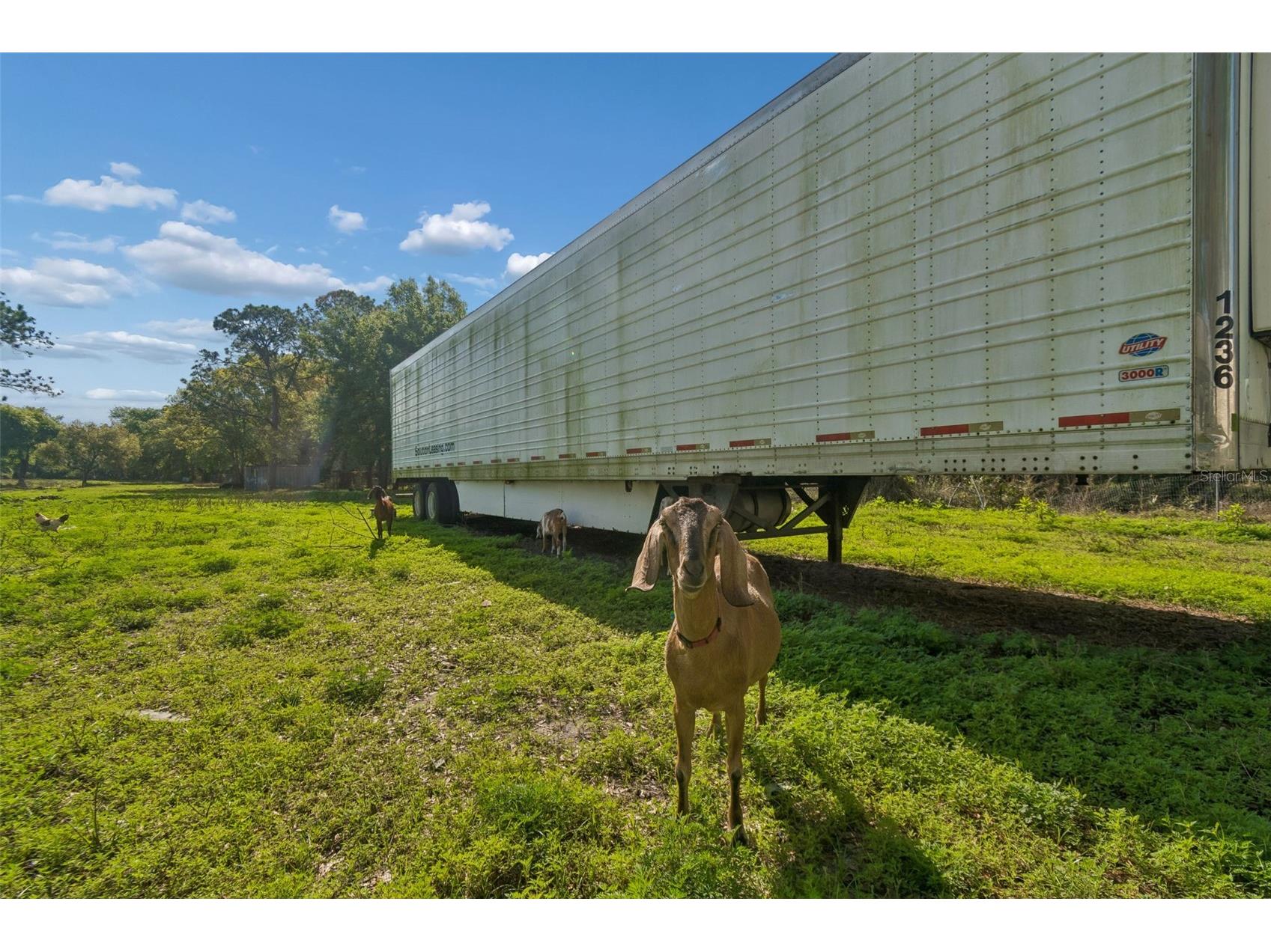 6213 Orient Road Tampa FL 33610 TB8489500 image37