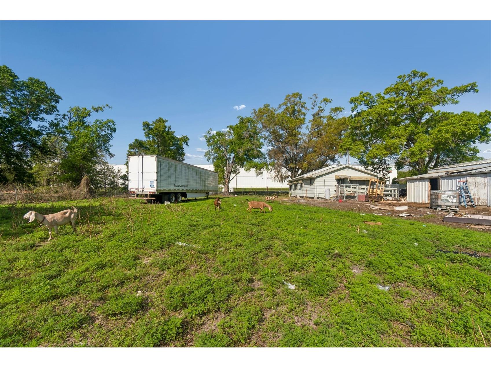 6213 Orient Road Tampa FL 33610 TB8489500 image38