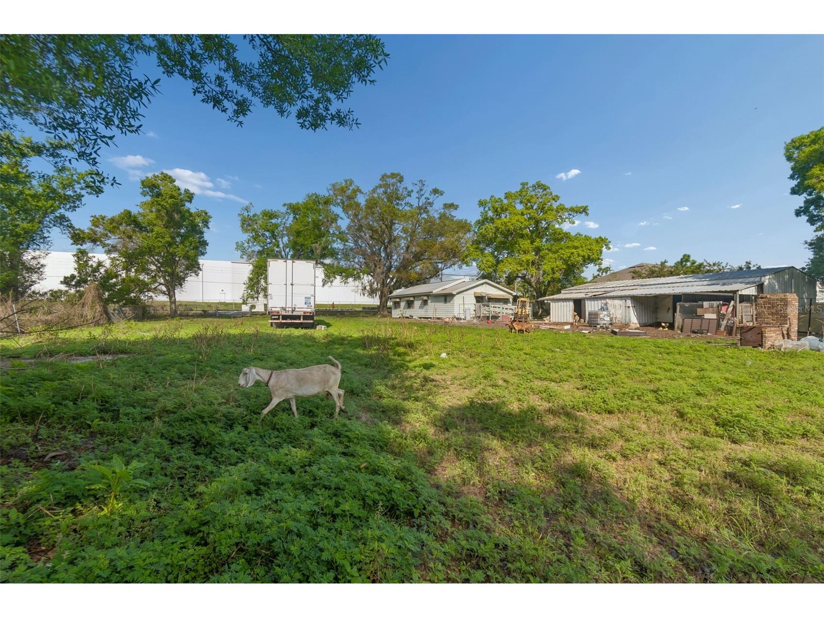 6213 Orient Road Tampa FL 33610 TB8489500 image39