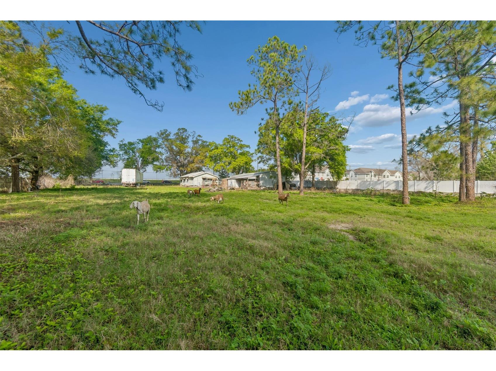 6213 Orient Road Tampa FL 33610 TB8489500 image44