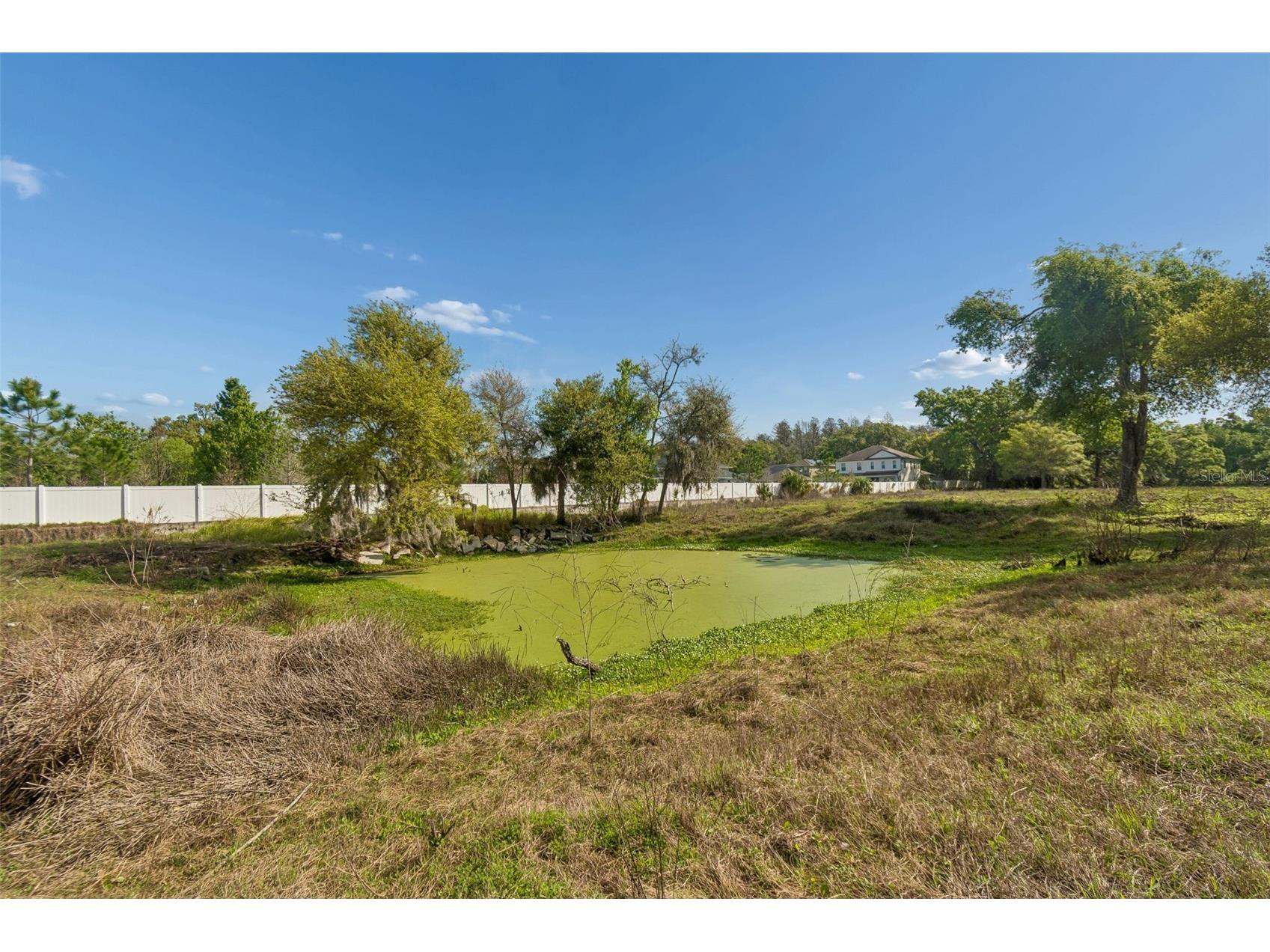 6213 Orient Road Tampa FL 33610 TB8489500 image46