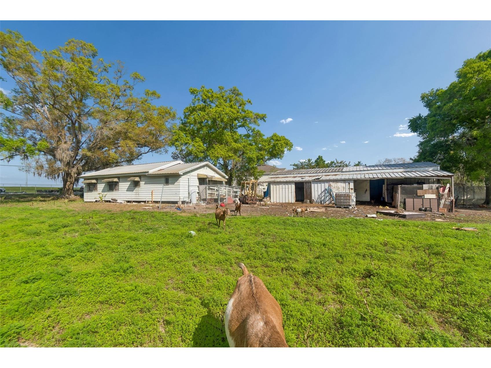 6213 Orient Road Tampa FL 33610 TB8489500 image49