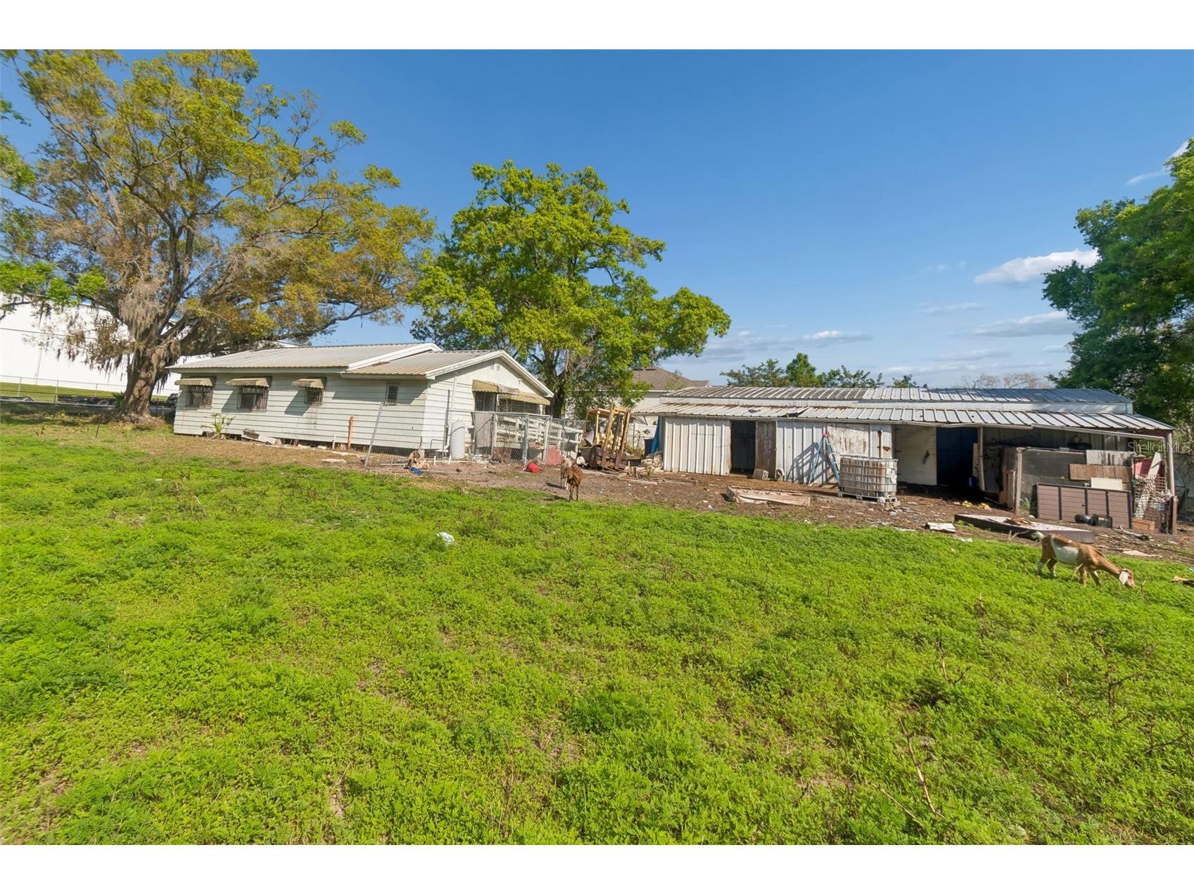 6213 Orient Road Tampa FL 33610 TB8489500 image50