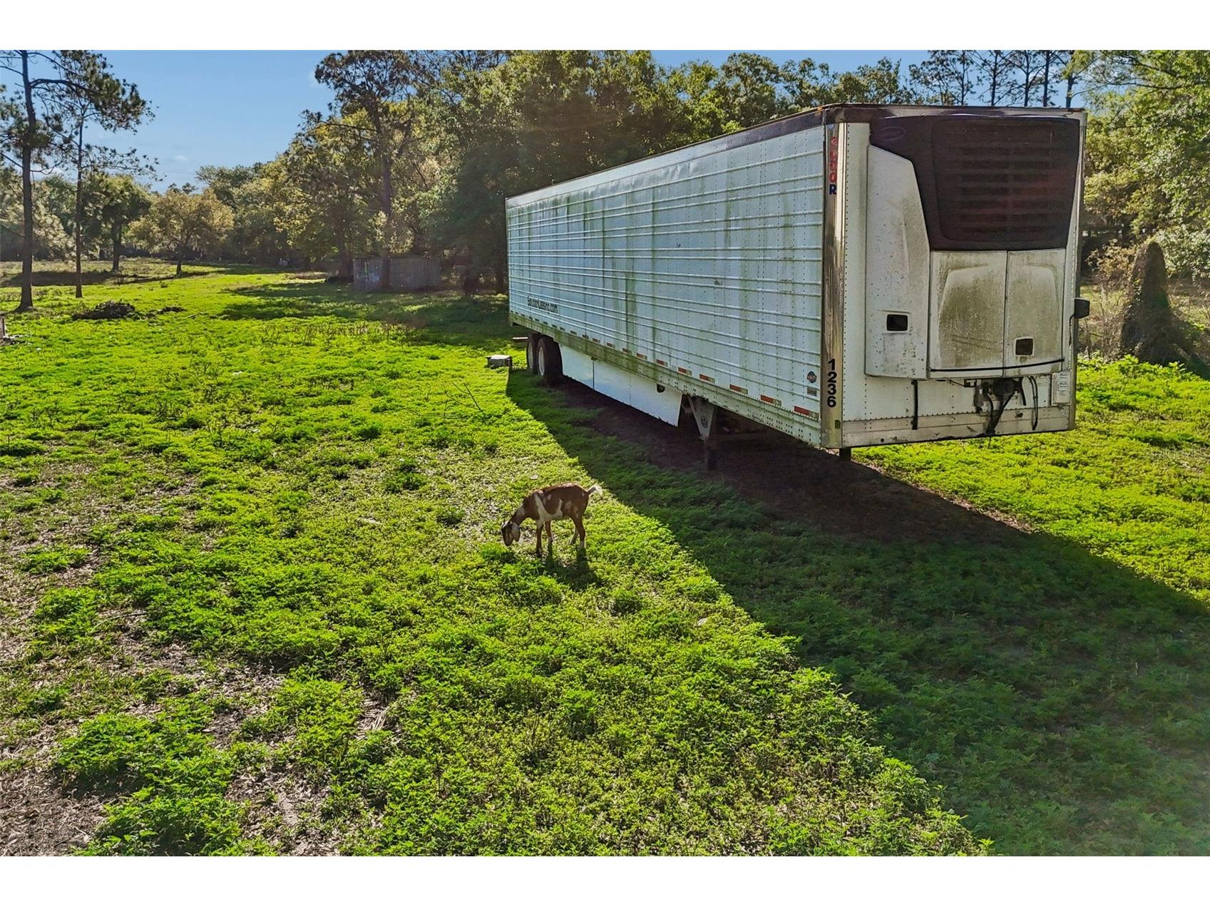 6213 Orient Road Tampa FL 33610 TB8489500 image51