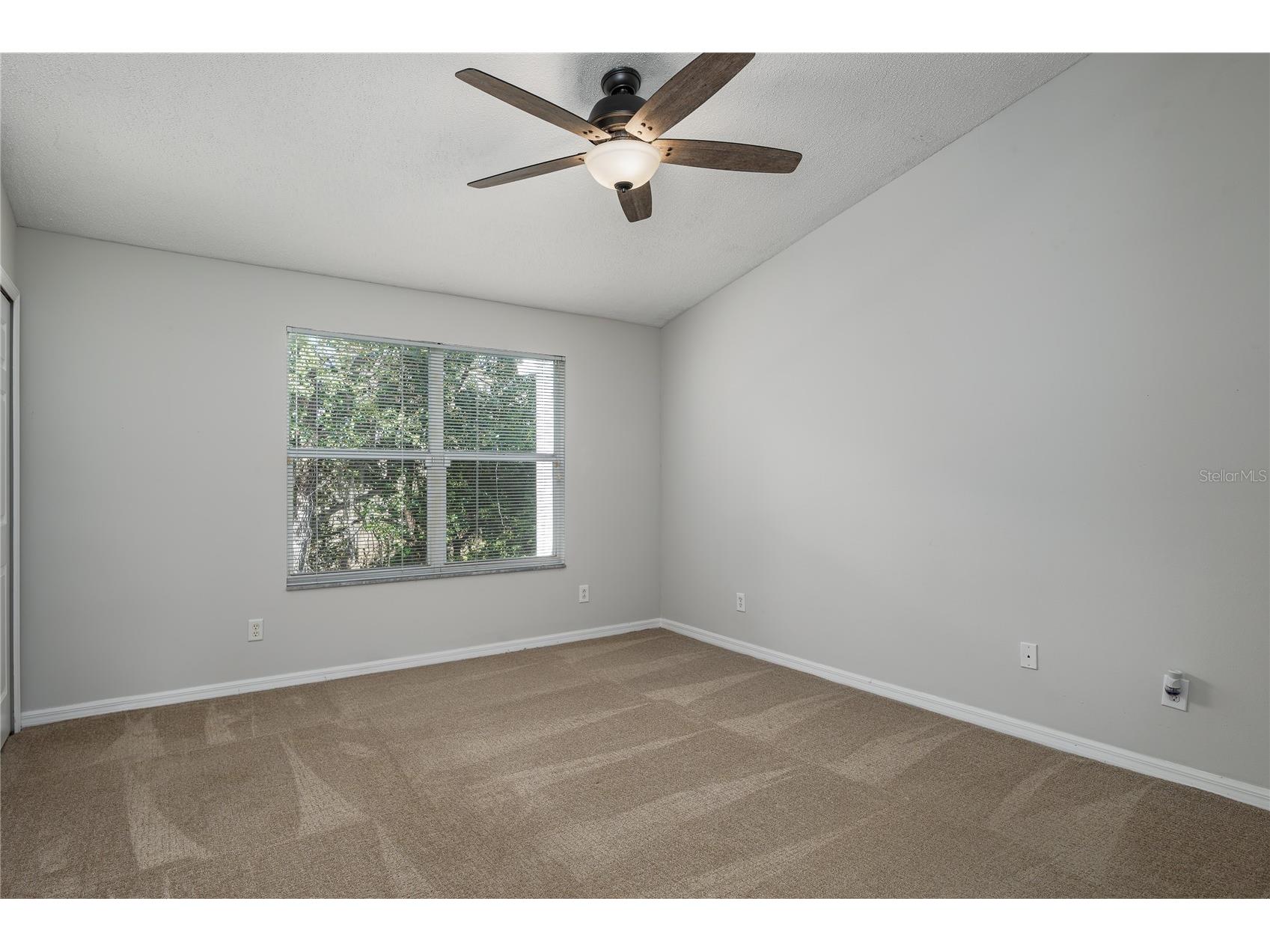 6213 Osprey Lake Circle Riverview FL 33578 A4679382 image15