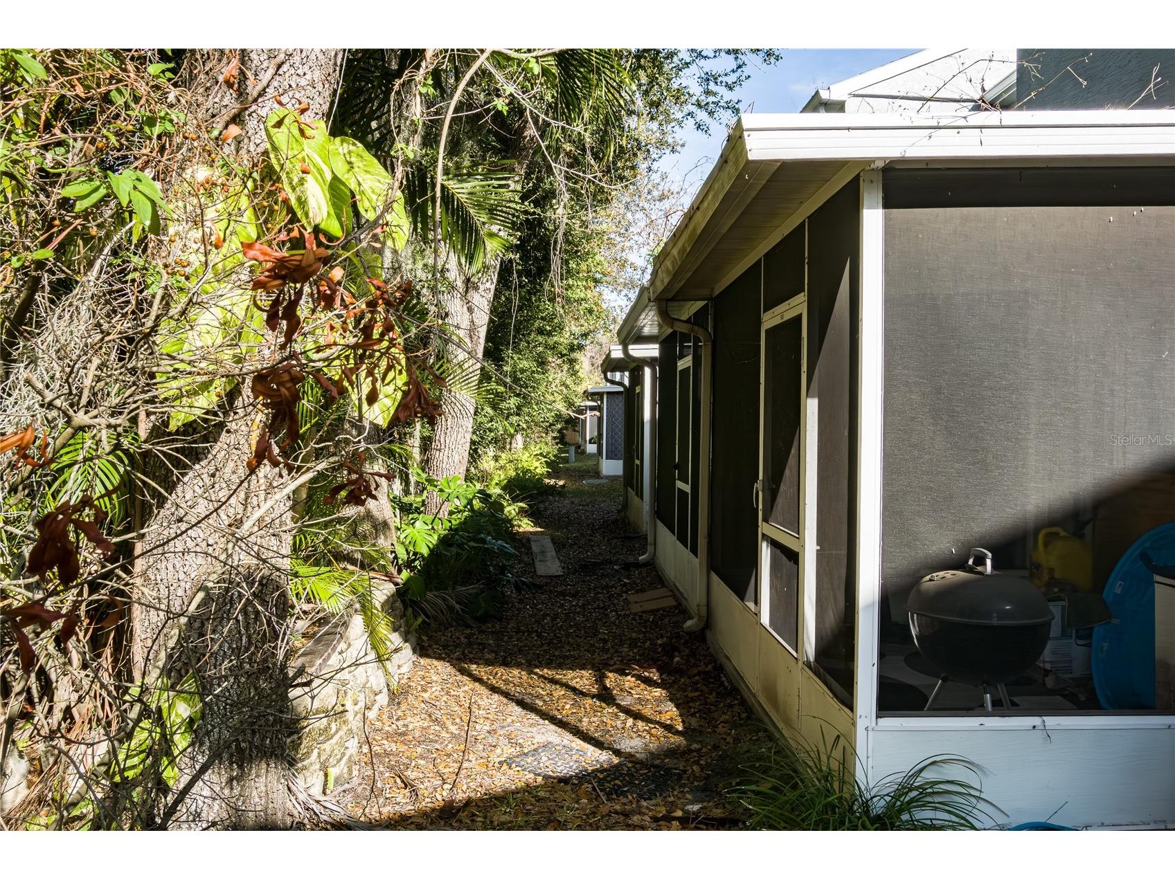 6213 Osprey Lake Circle Riverview FL 33578 A4679382 image26