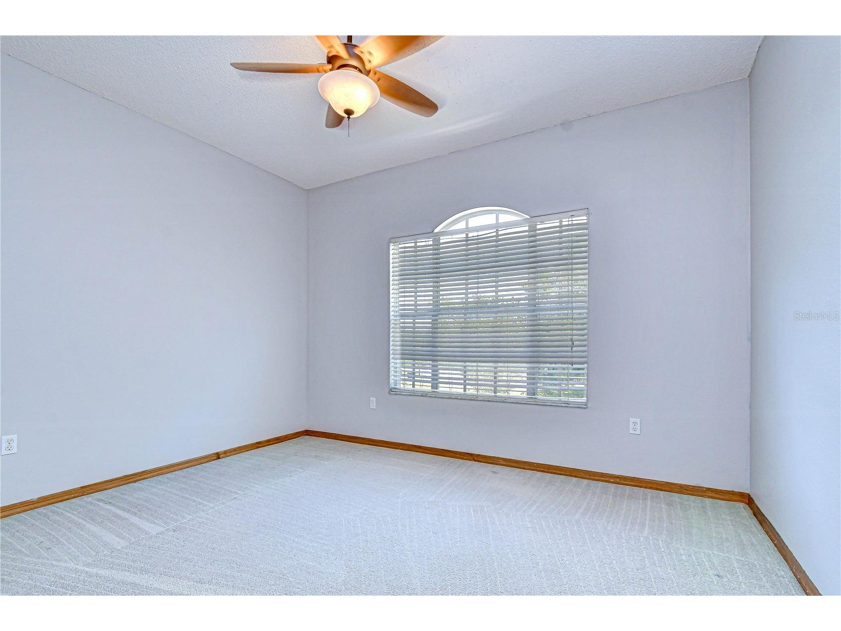 6213 Parkway Boulevard Land O Lakes FL 34639 TB8496730 image88