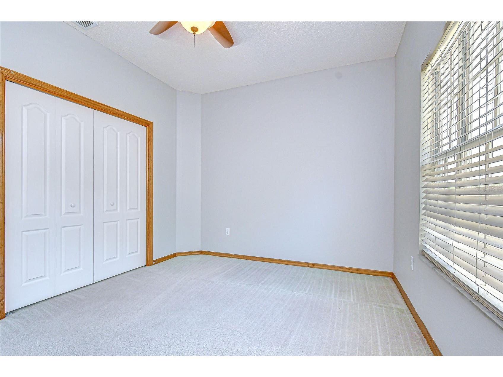 6213 Parkway Boulevard Land O Lakes FL 34639 TB8496730 image89