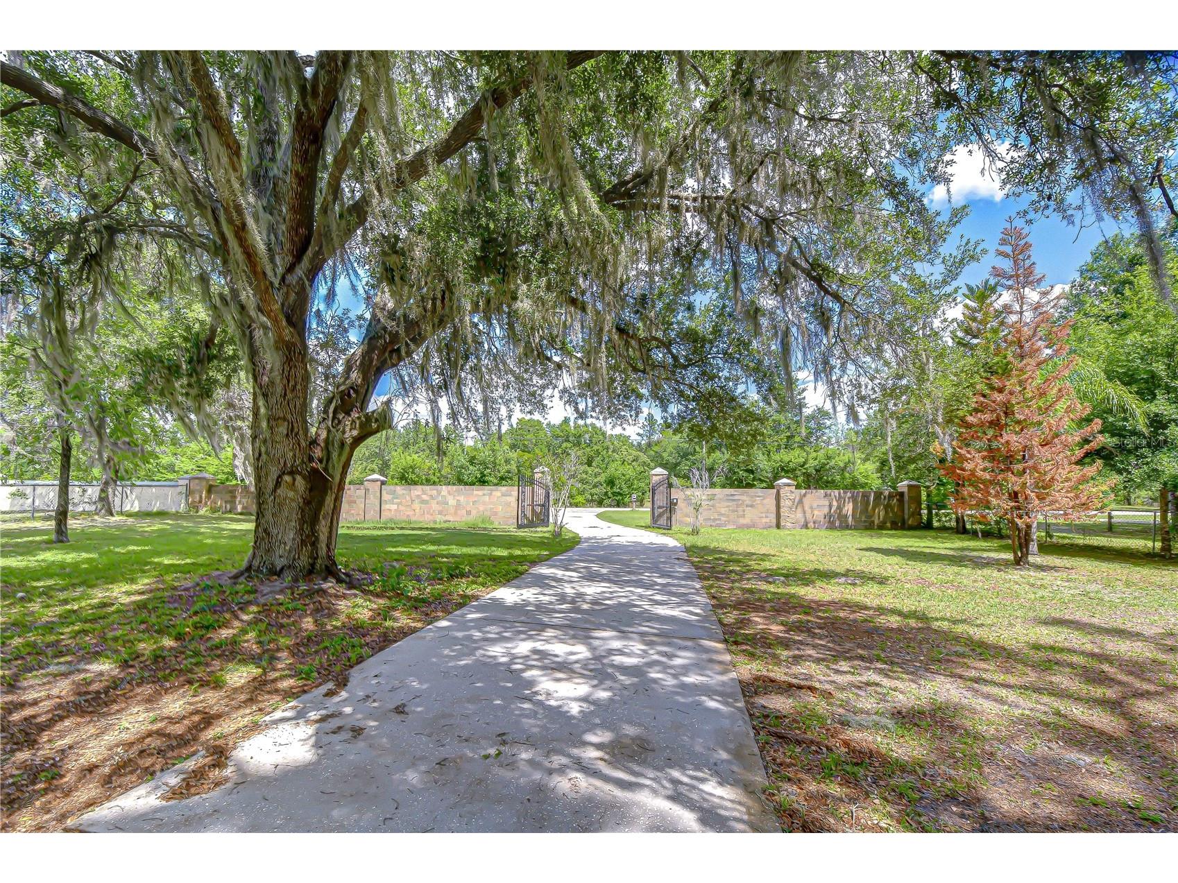 6213 Parkway Boulevard Land O Lakes FL 34639 TB8496730 image94
