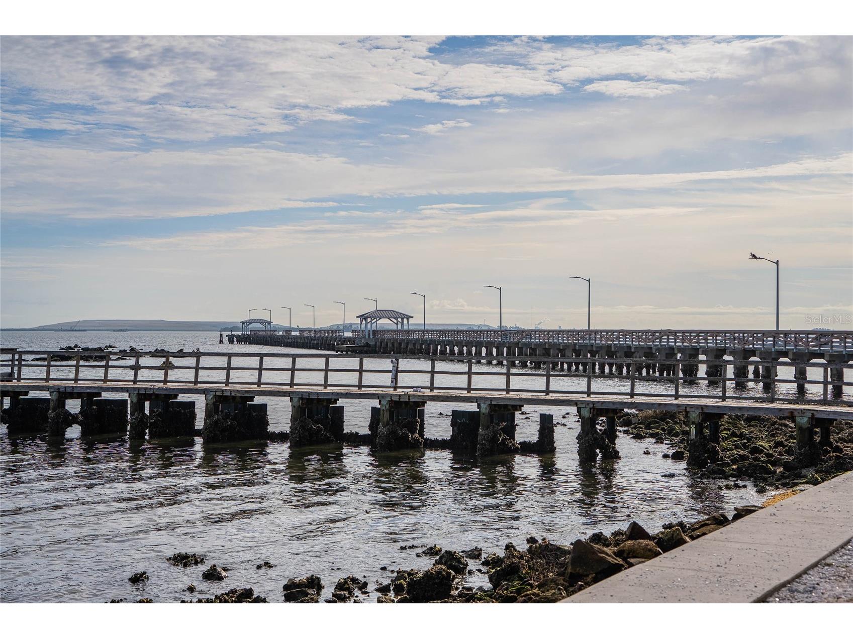 6213 Sanders Drive Tampa FL 33611 TB8469173 image10