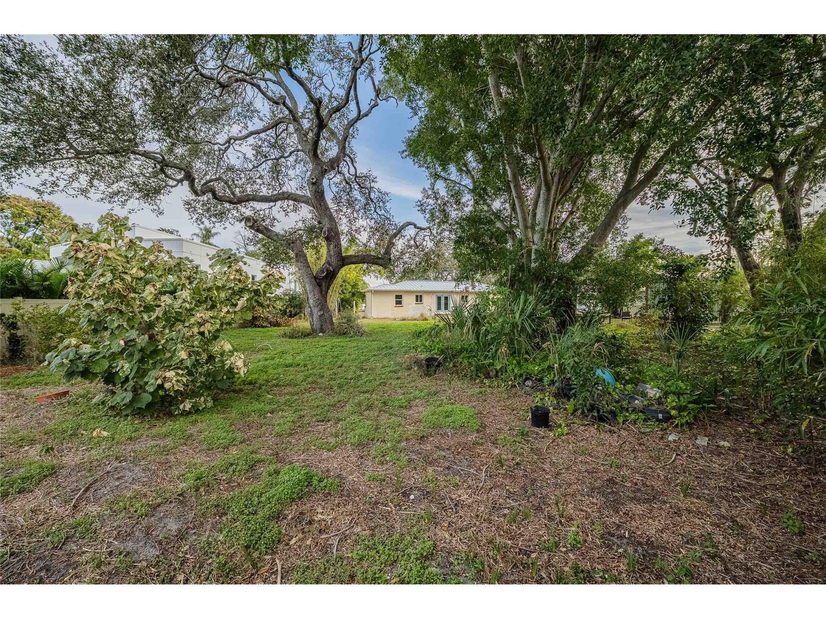 6213 Sanders Drive Tampa FL 33611 TB8469173 image13