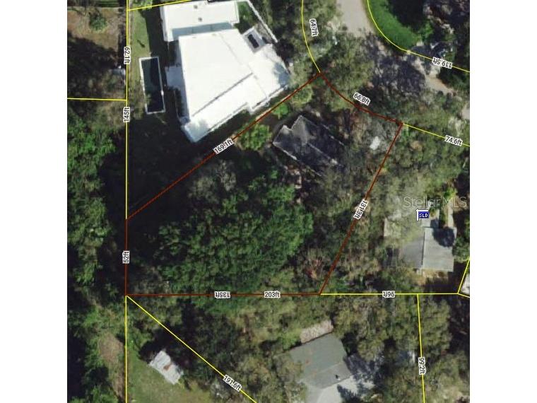 6213 Sanders Drive Tampa FL 33611 TB8469173 image4