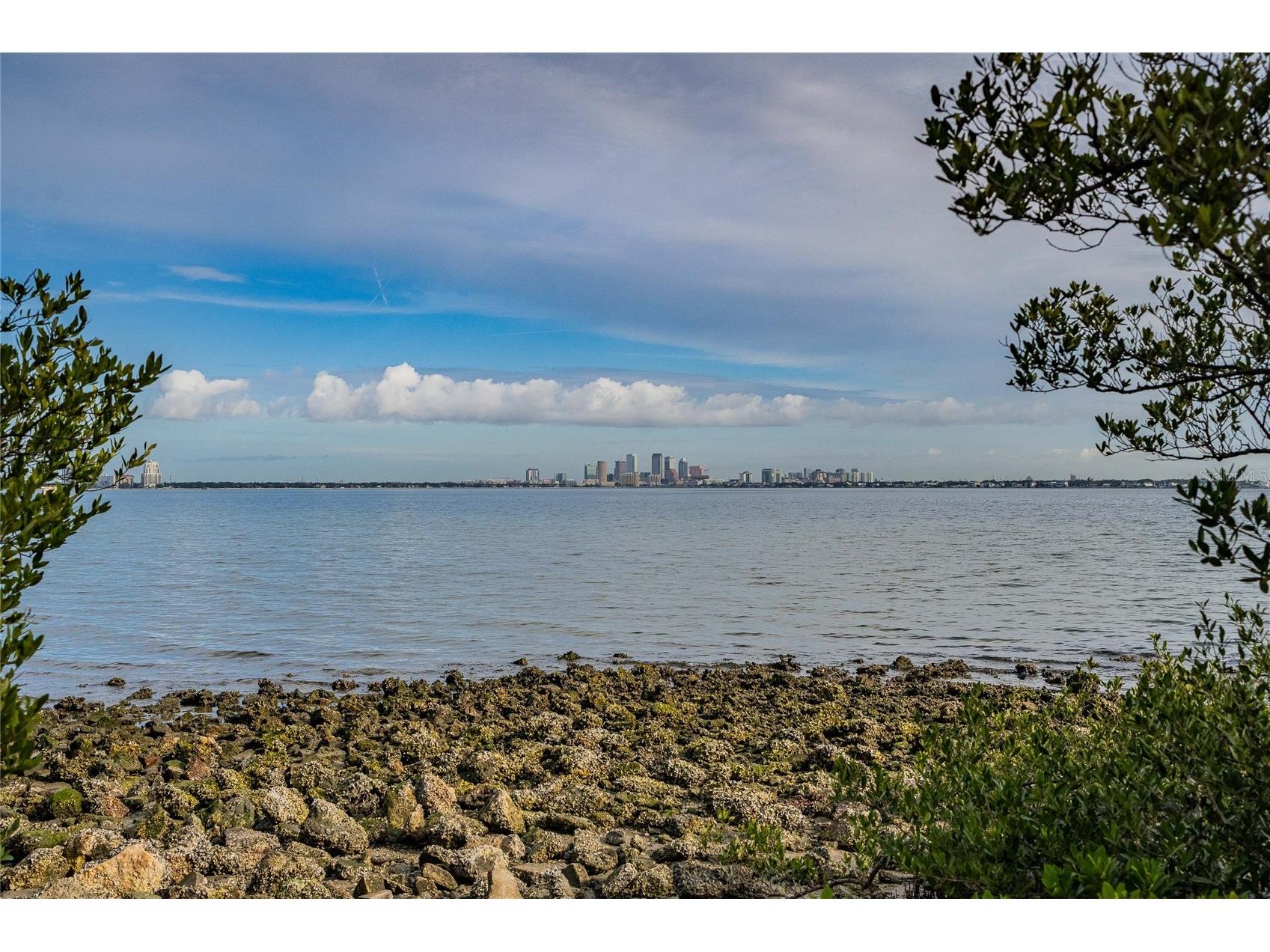 6213 Sanders Drive Tampa FL 33611 TB8469173 image43