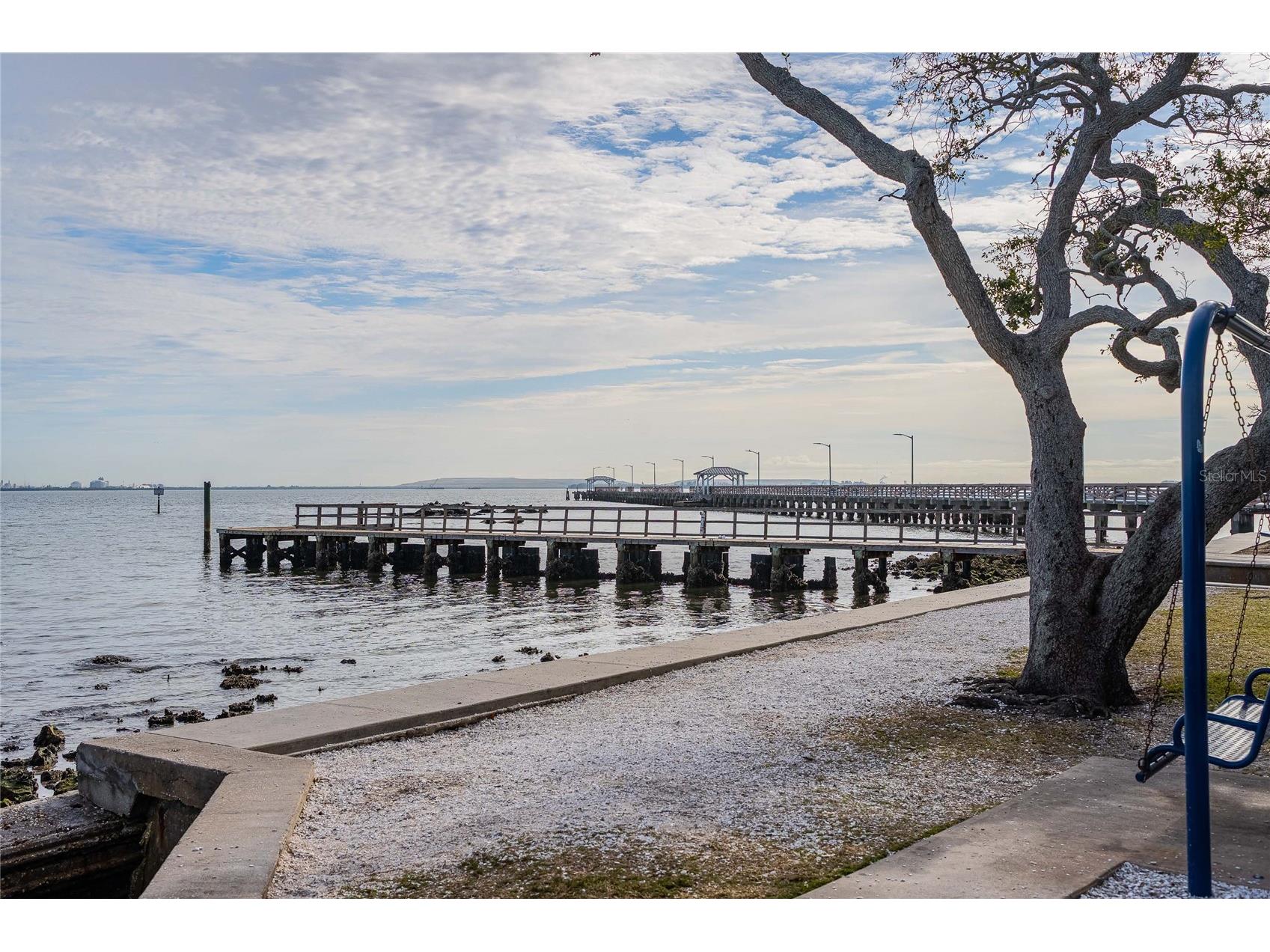 6213 Sanders Drive Tampa FL 33611 TB8469173 image44