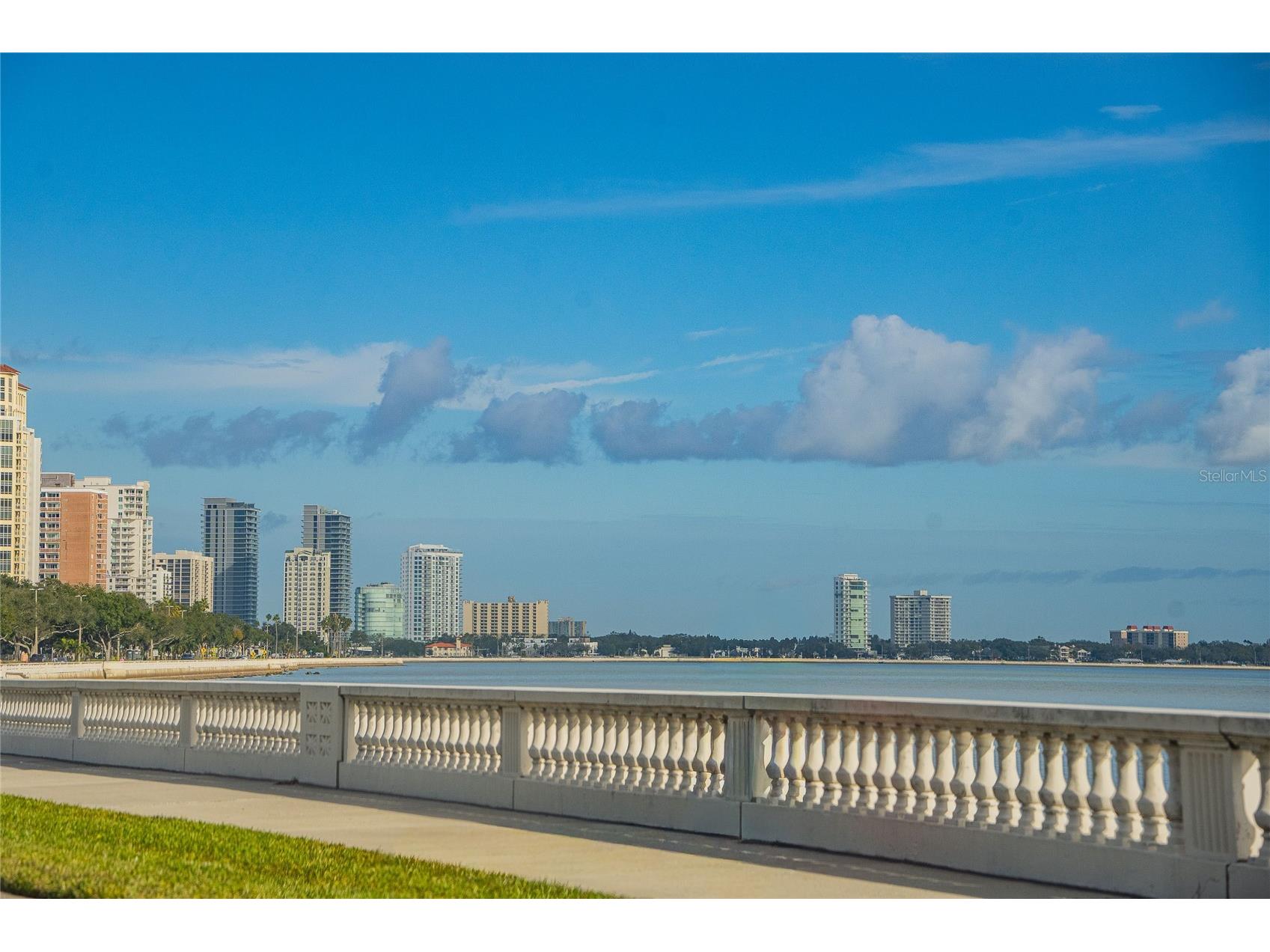 6213 Sanders Drive Tampa FL 33611 TB8469173 image9