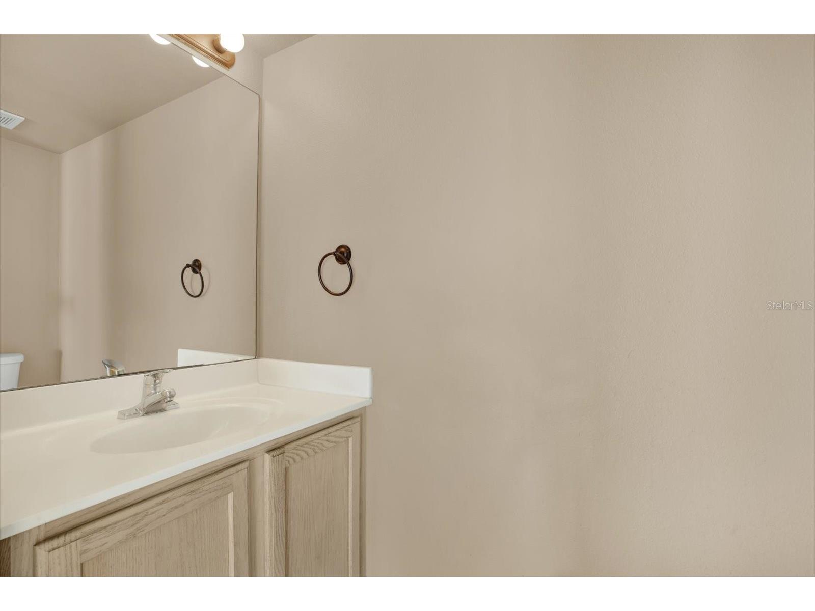 6213 Venezia Place Riverview FL 33578 TB8480050 image19