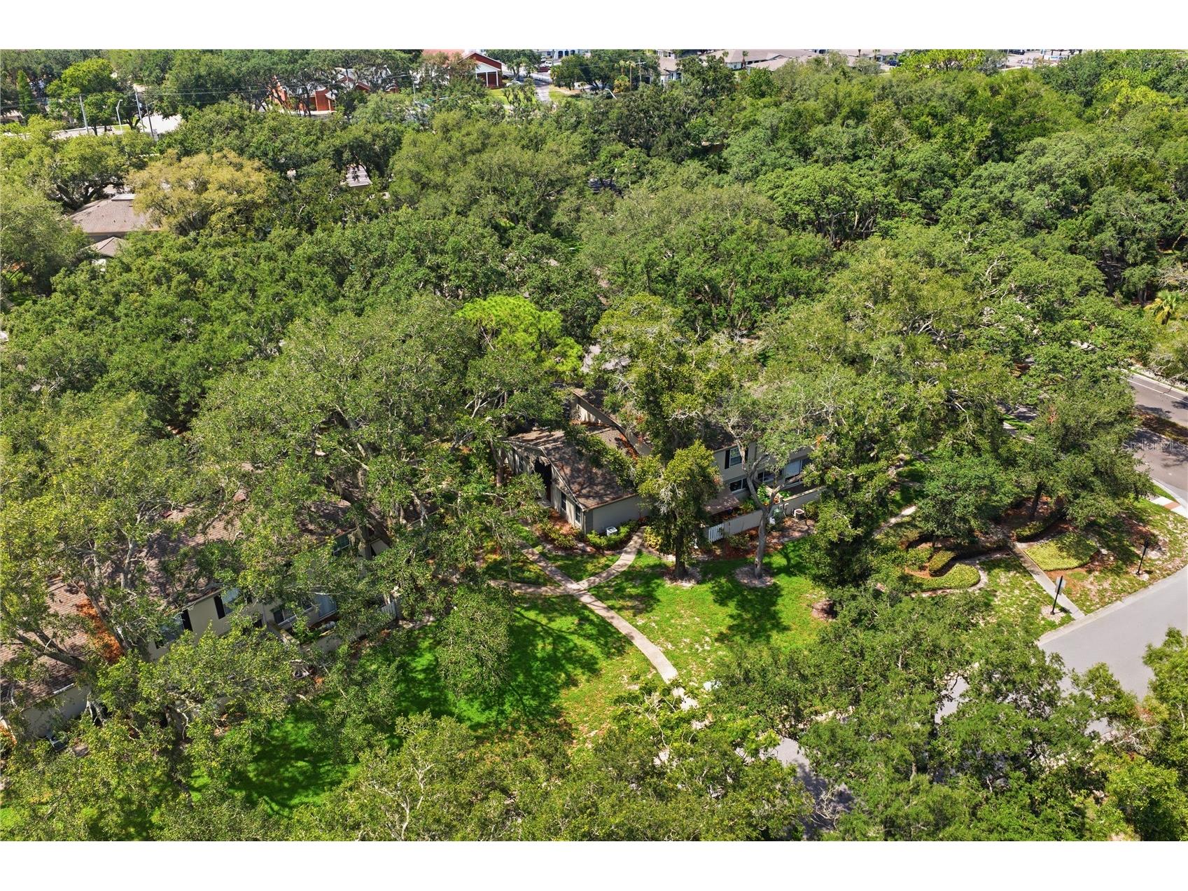 6214 Dewdrop Way Temple Terrace FL 33617 W7887840 image34