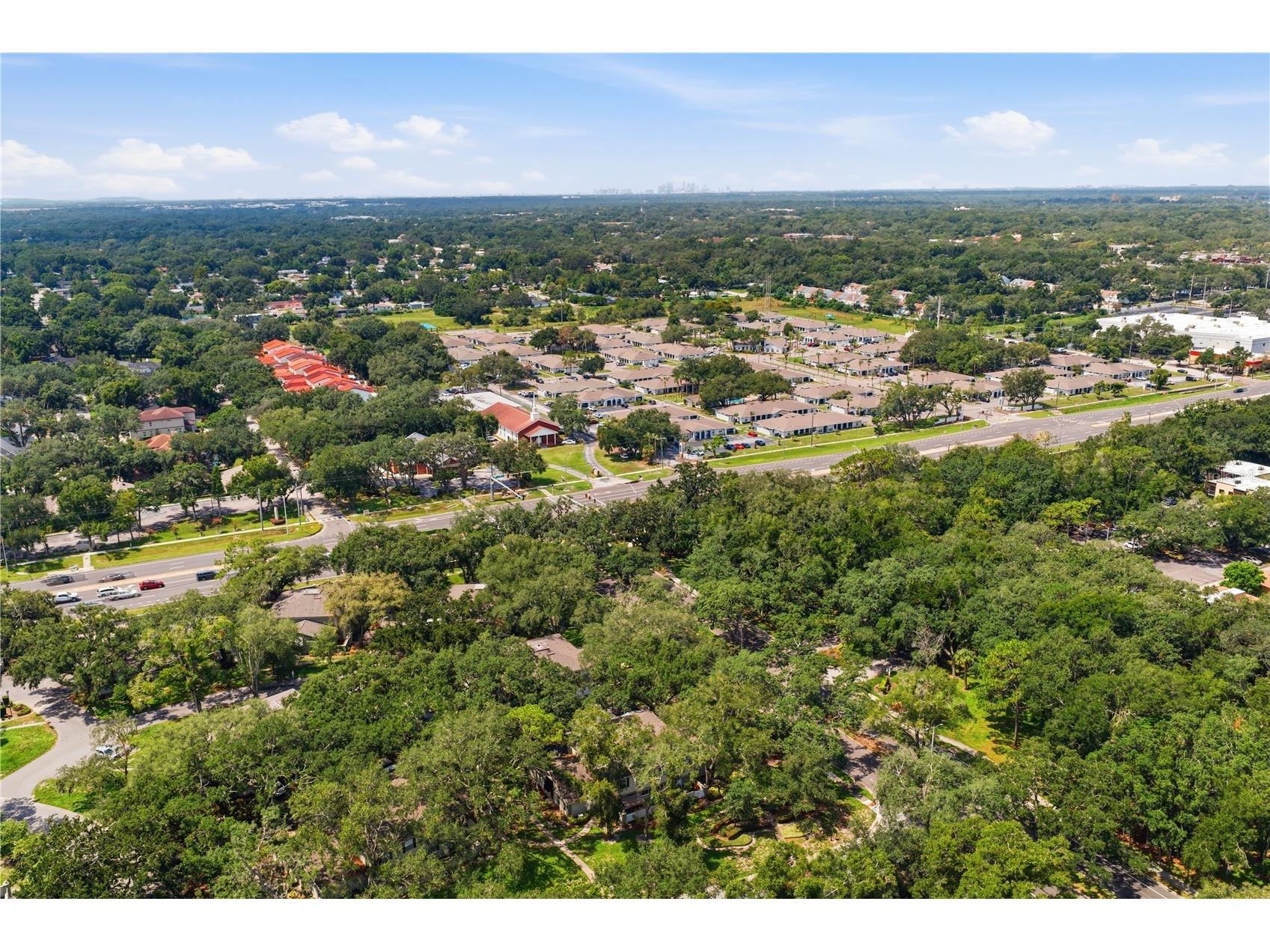 6214 Dewdrop Way Temple Terrace FL 33617 W7887840 image36