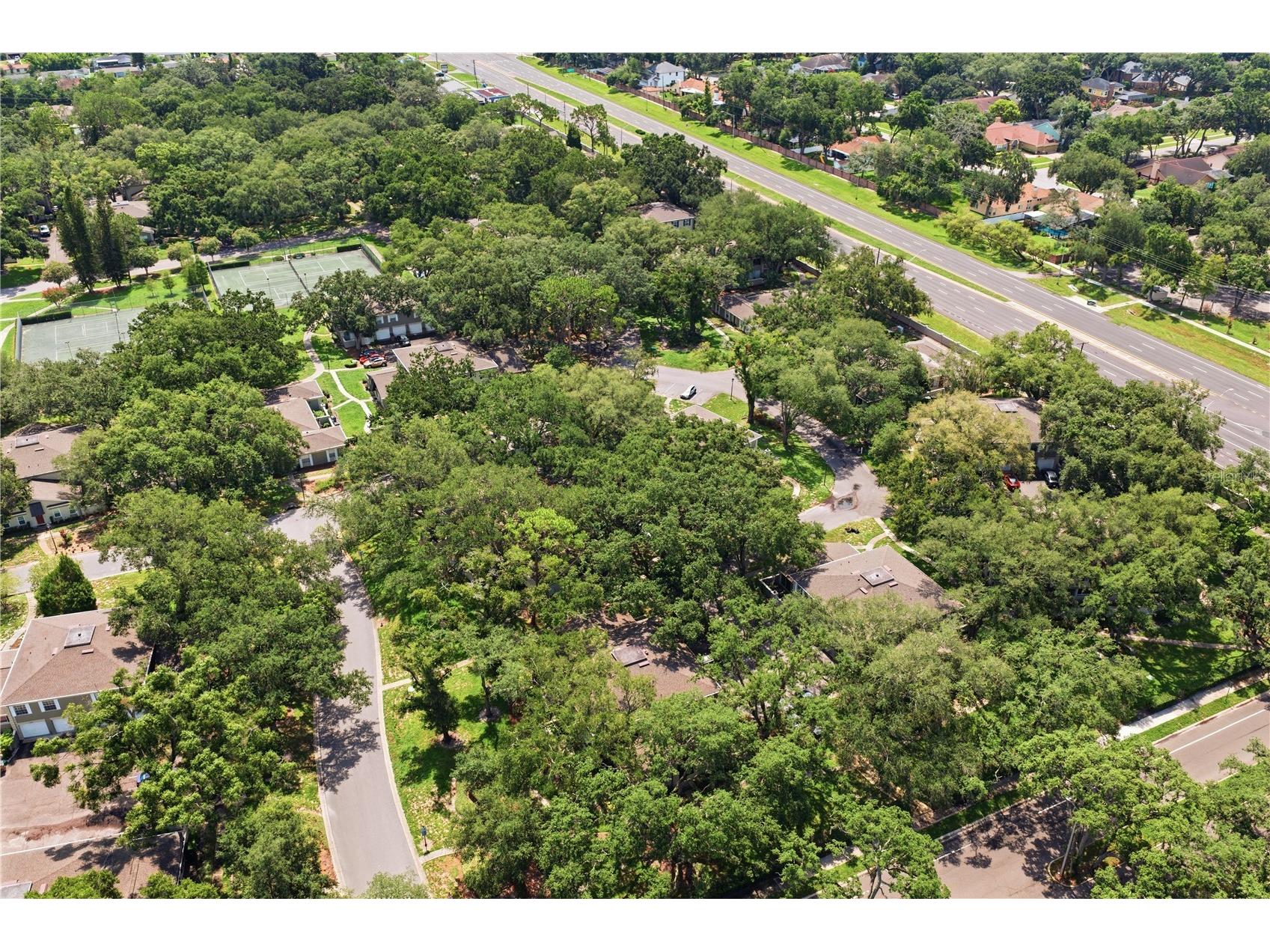 6214 Dewdrop Way Temple Terrace FL 33617 W7887840 image39