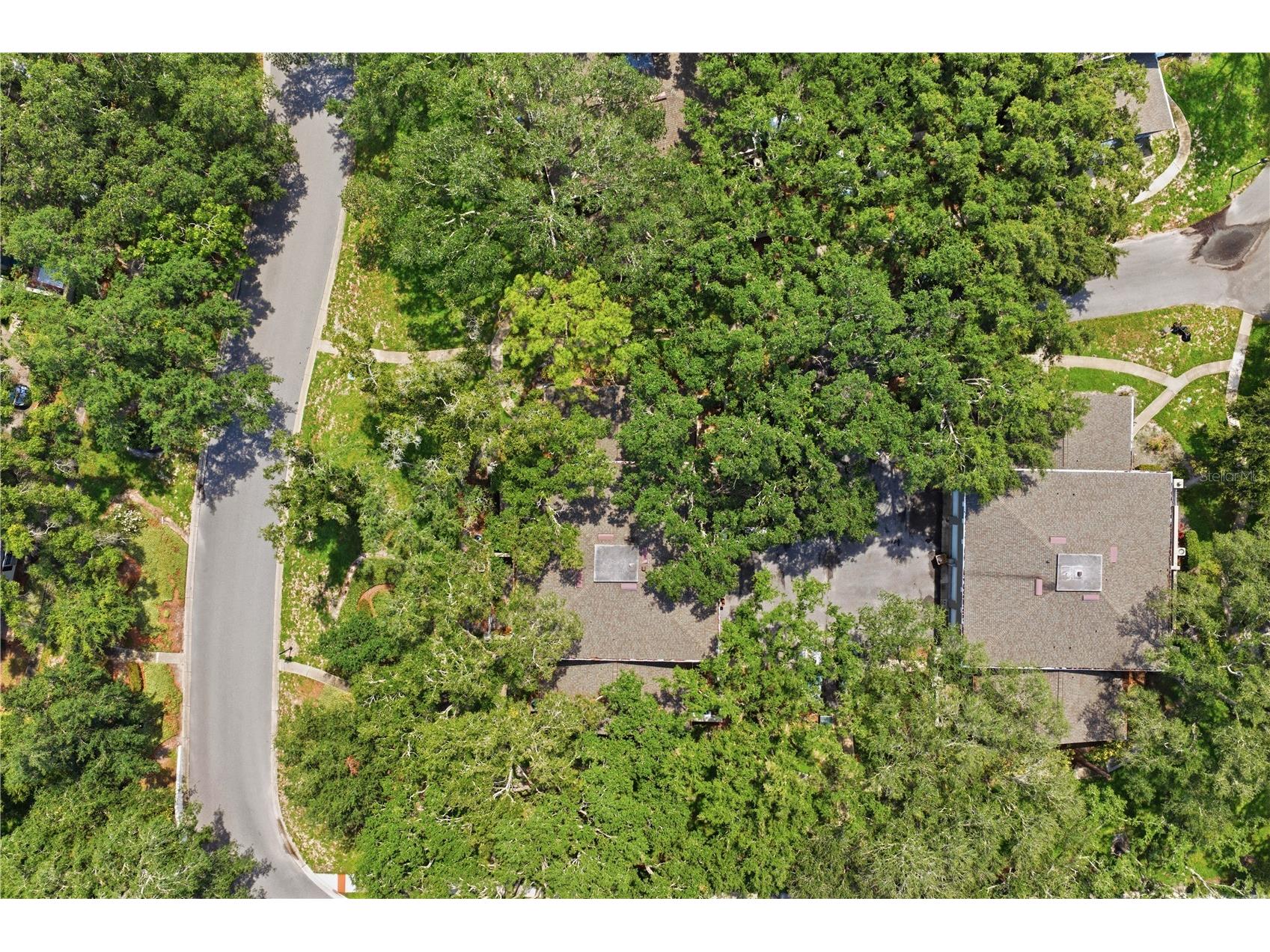 6214 Dewdrop Way Temple Terrace FL 33617 W7887840 image40