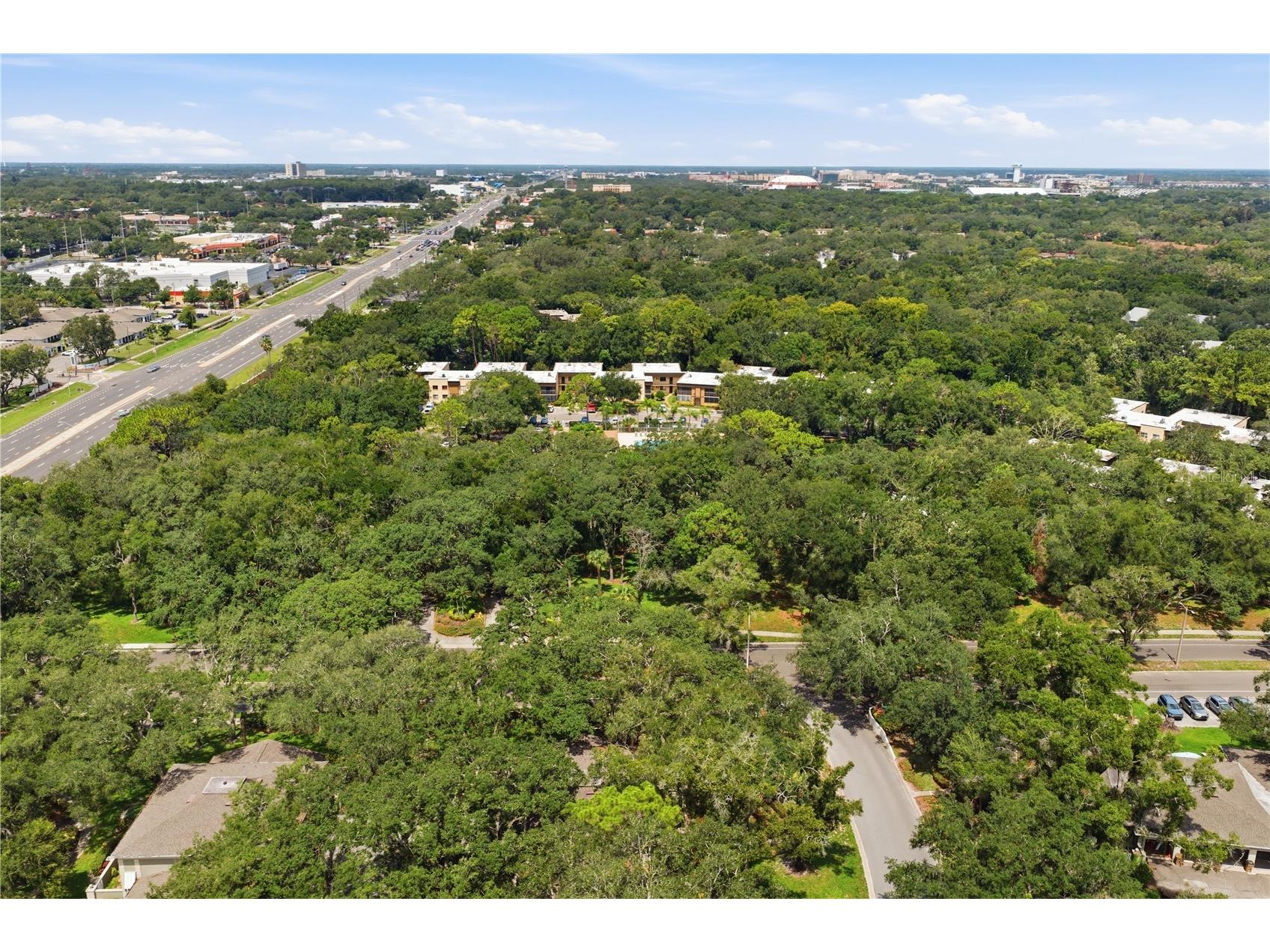 6214 Dewdrop Way Temple Terrace FL 33617 W7887840 image41