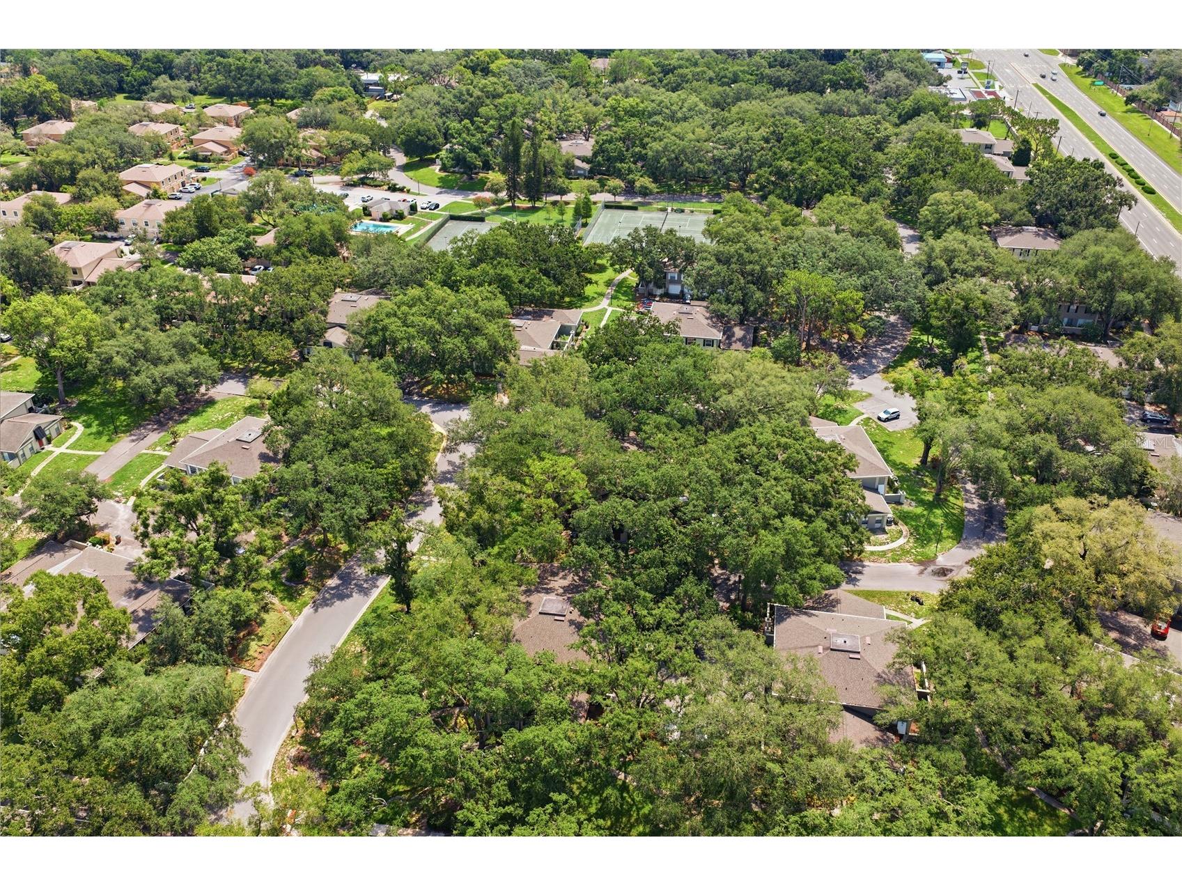 6214 Dewdrop Way Temple Terrace FL 33617 W7887840 image42