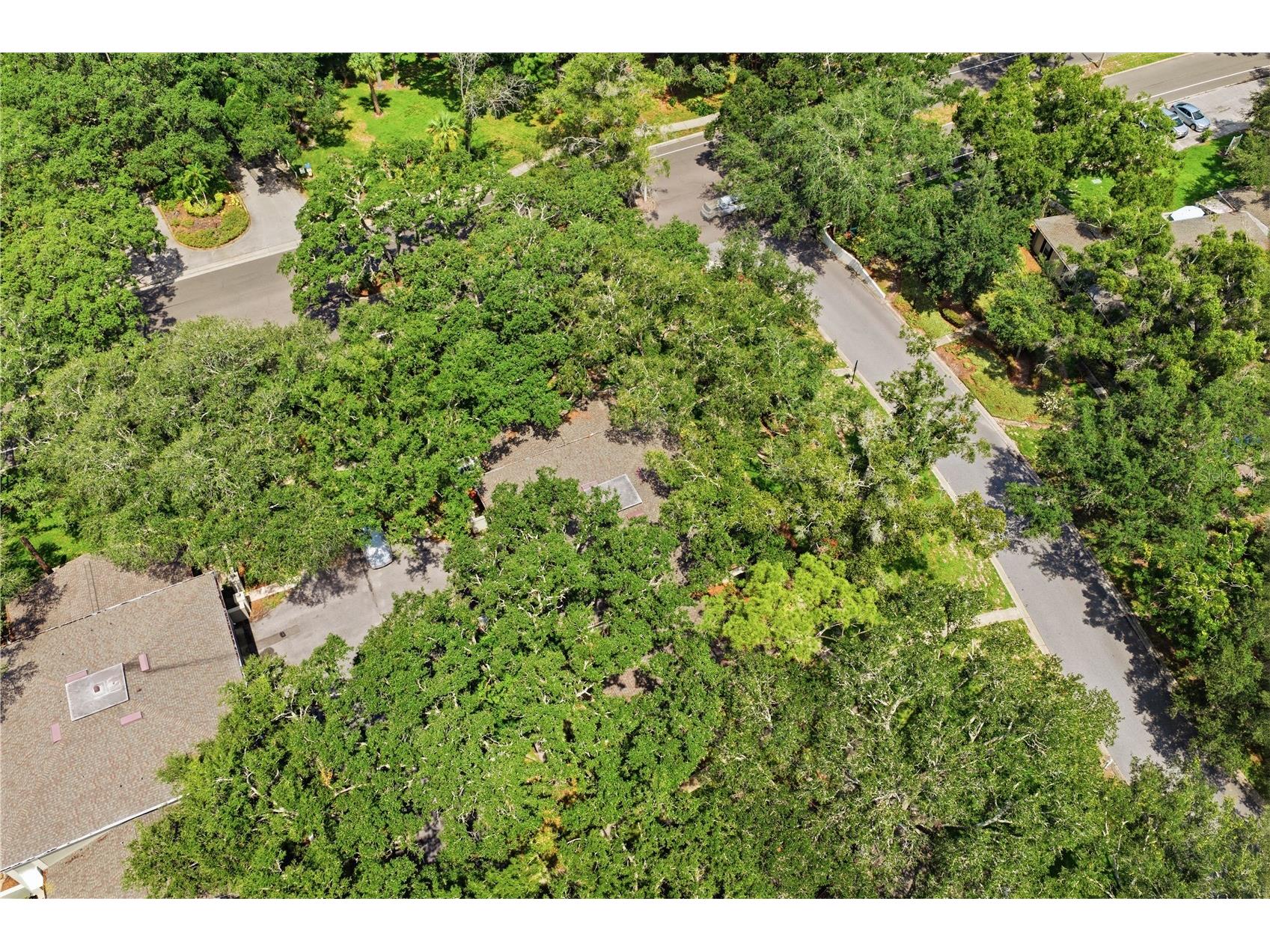6214 Dewdrop Way Temple Terrace FL 33617 W7887840 image43