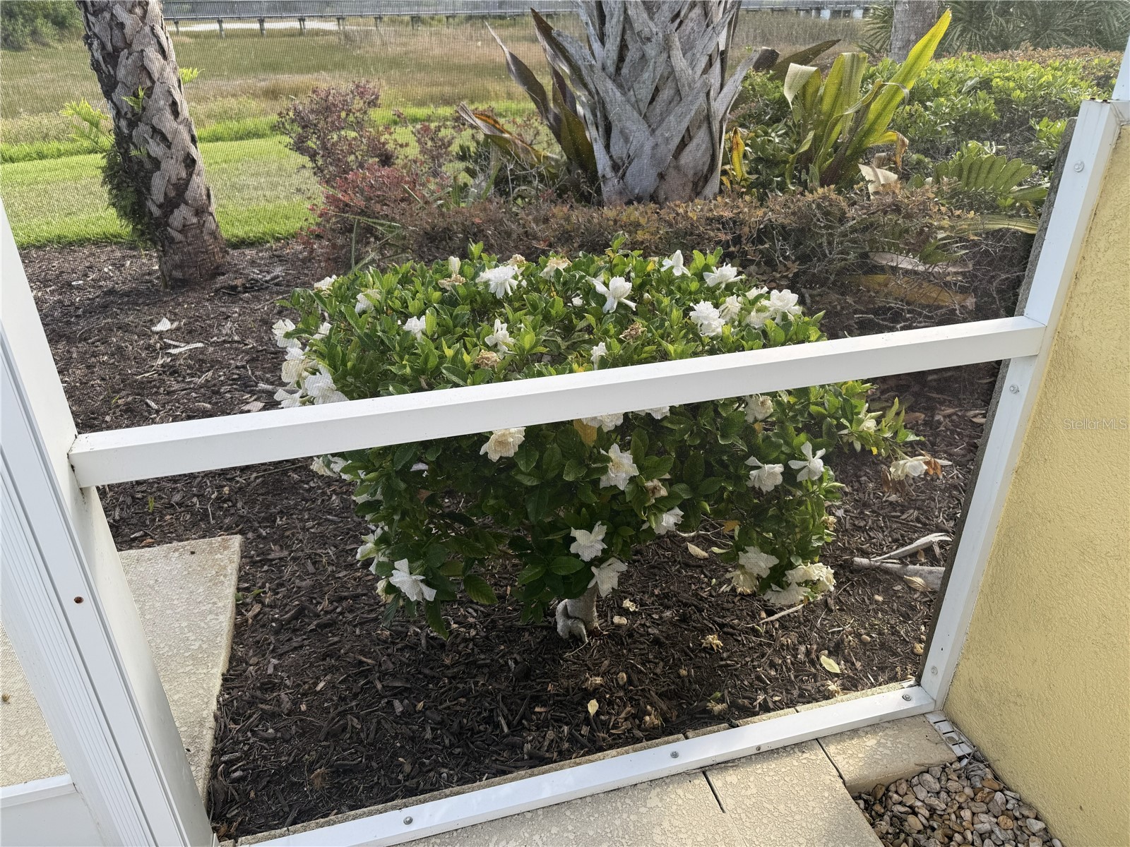 6214 Erice Street Venice FL 34293 C7525282 image31