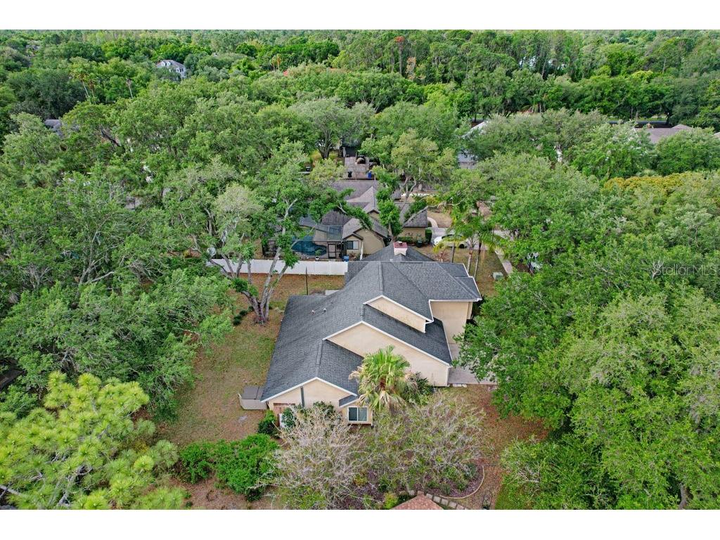 6214 Farthing Street Tampa FL 33647 TB8496126 image35