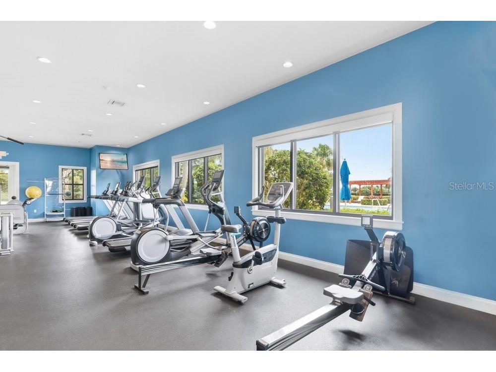 6214 Sea Amber Lane Apollo Beach FL 33572 S5151447 image41
