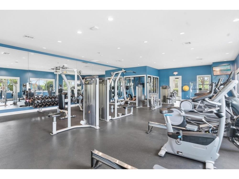 6214 Sea Amber Lane Apollo Beach FL 33572 S5151447 image42