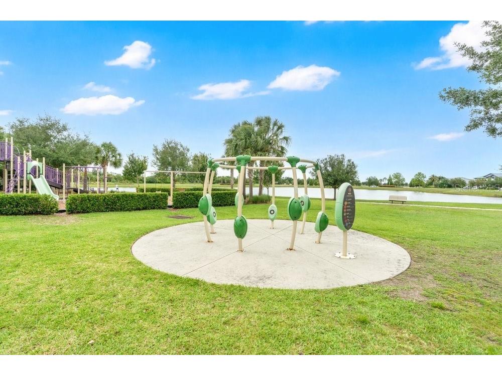 6214 Sea Amber Lane Apollo Beach FL 33572 S5151447 image44