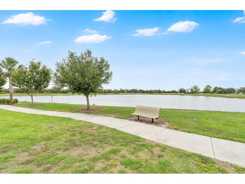 6214 Sea Amber Lane Apollo Beach FL 33572 S5151447 image45