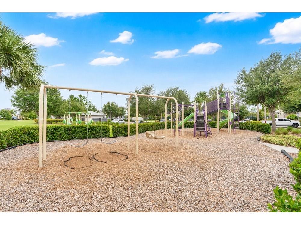 6214 Sea Amber Lane Apollo Beach FL 33572 S5151447 image46