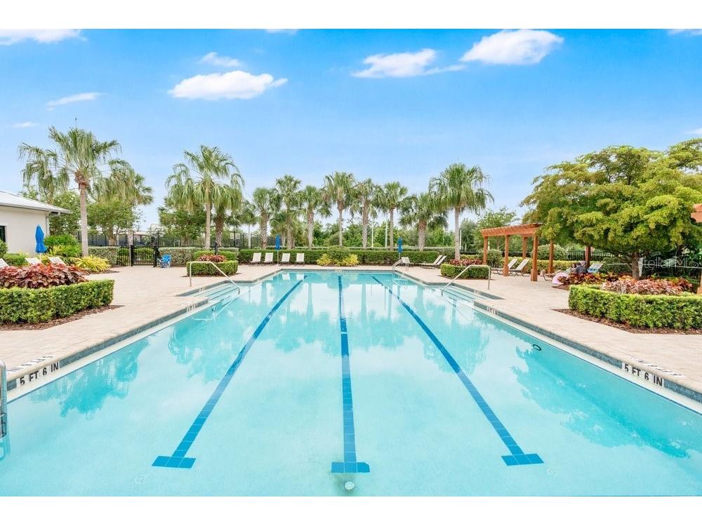 6214 Sea Amber Lane Apollo Beach FL 33572 S5151447 image54
