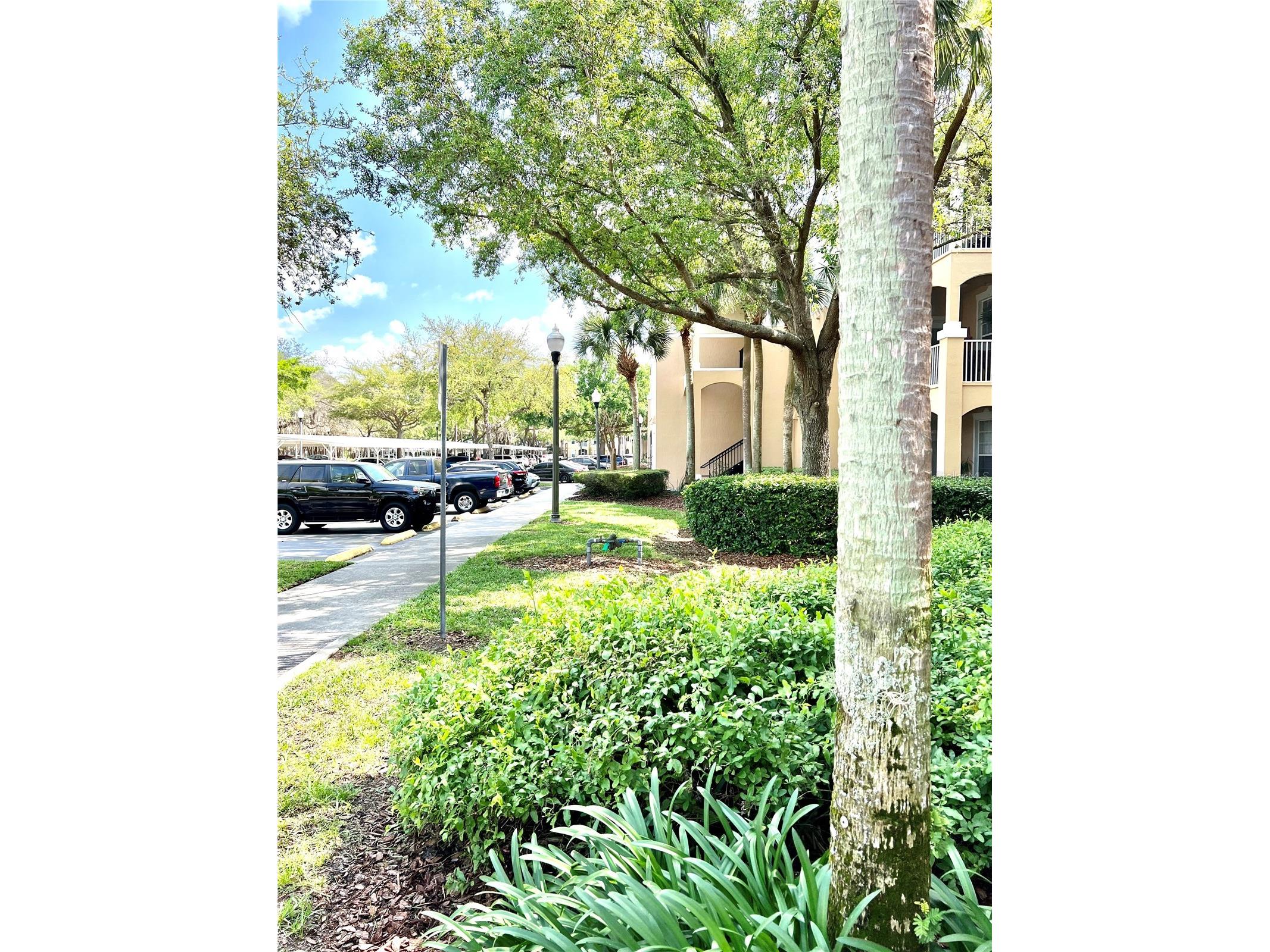 6214 Stevenson Drive #307 Orlando FL 32835 O6411203 image2