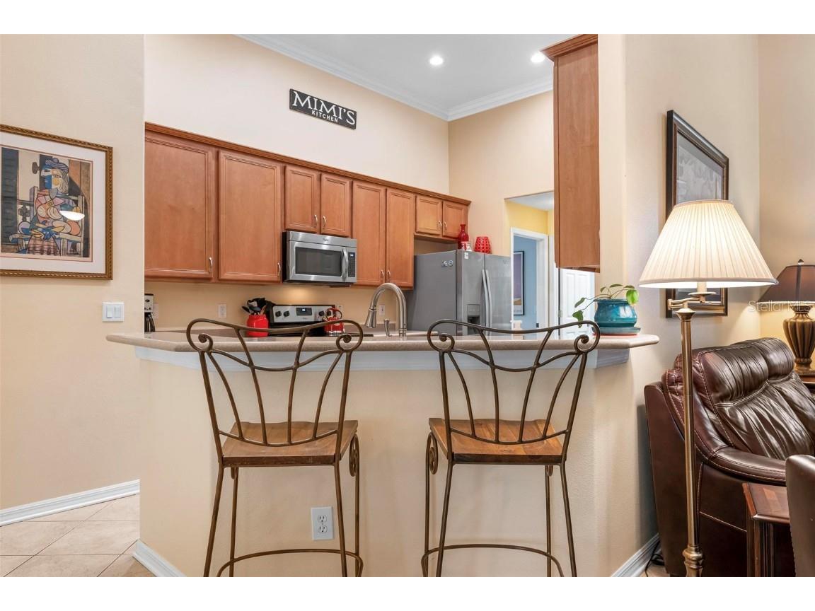 6215 90th Avenue Circle E Parrish FL 34219 A4660261 image19