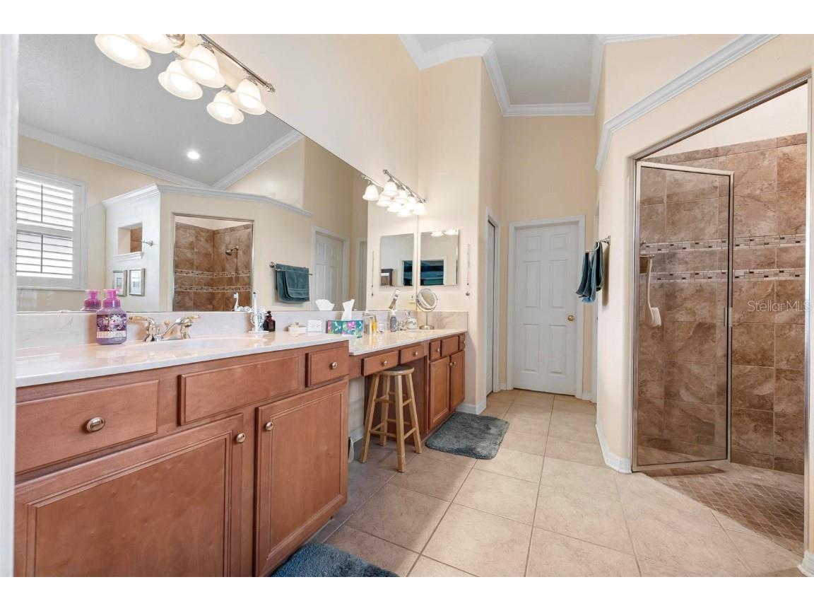 6215 90th Avenue Circle E Parrish FL 34219 A4660261 image38