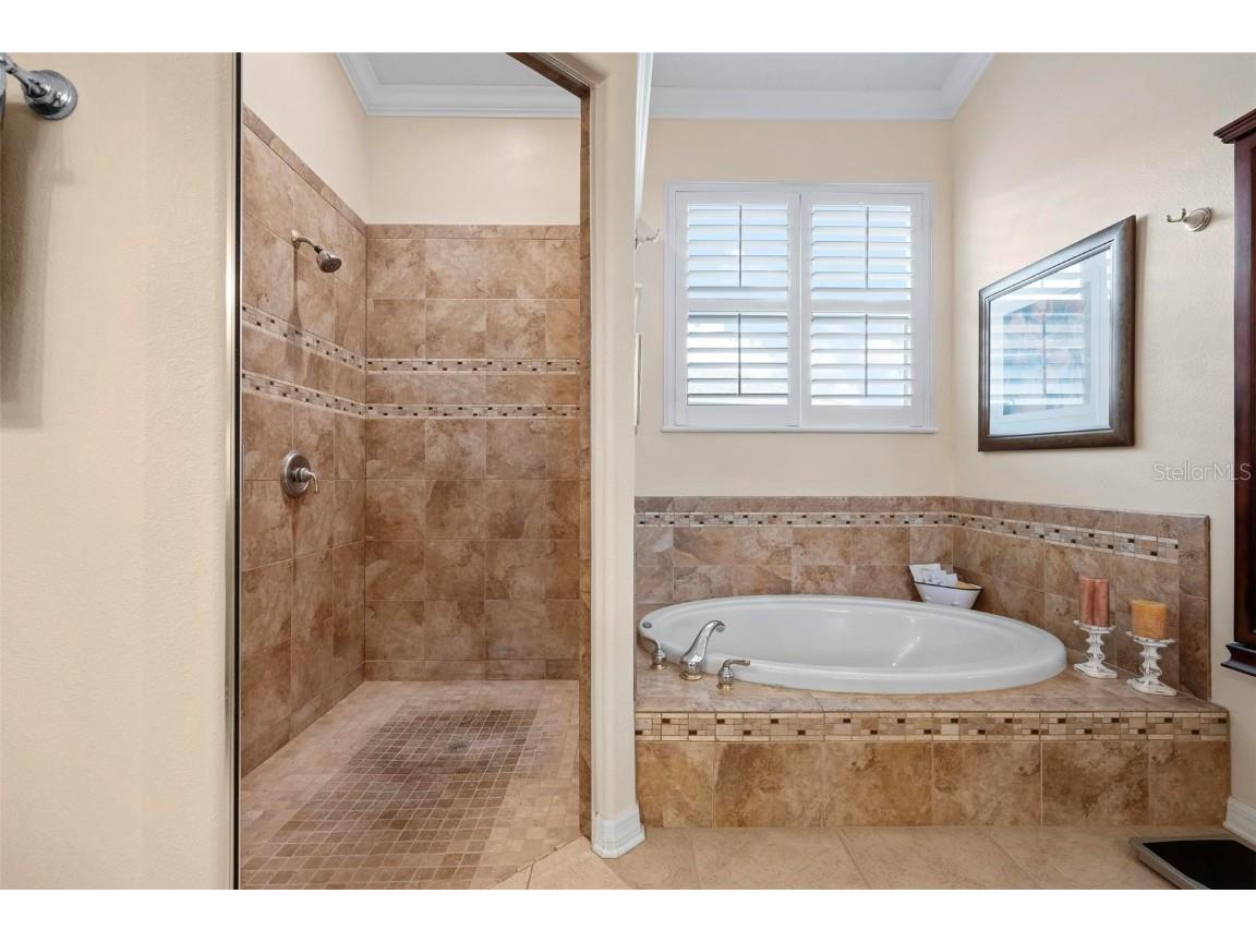 6215 90th Avenue Circle E Parrish FL 34219 A4660261 image39