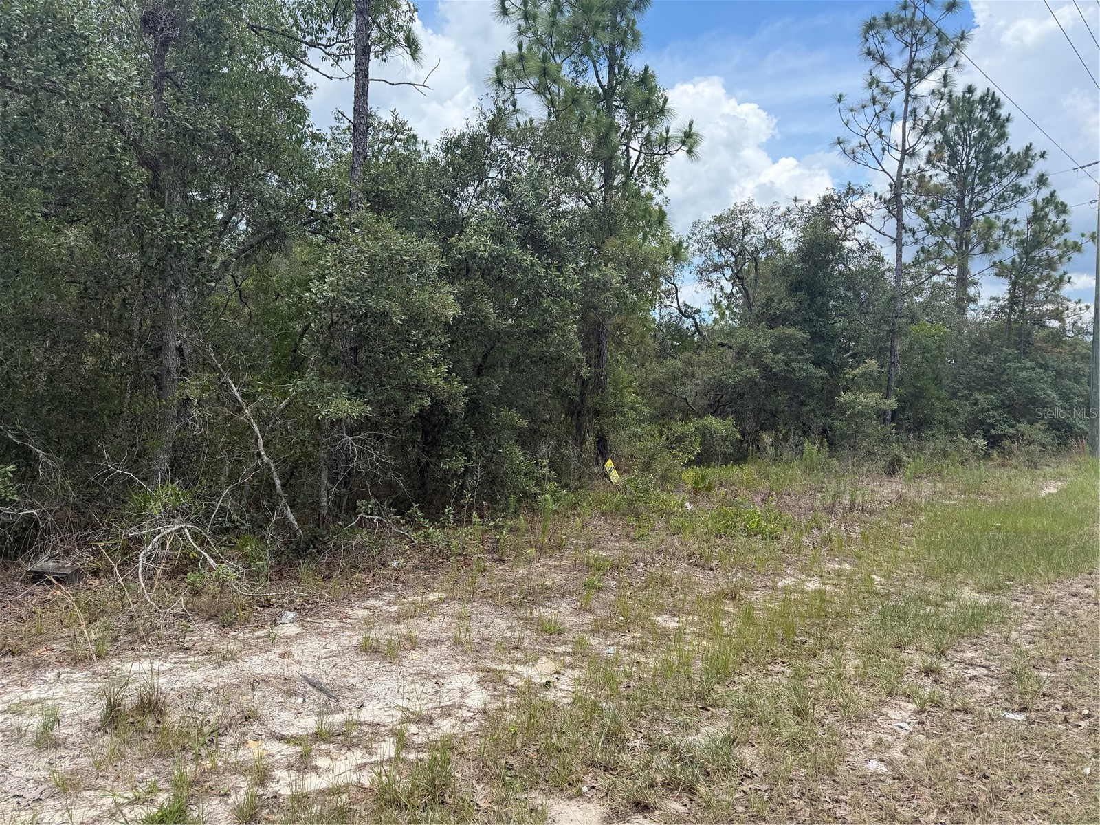 6215 S Premiere Avenue Homosassa FL 34446 W7886607 image1