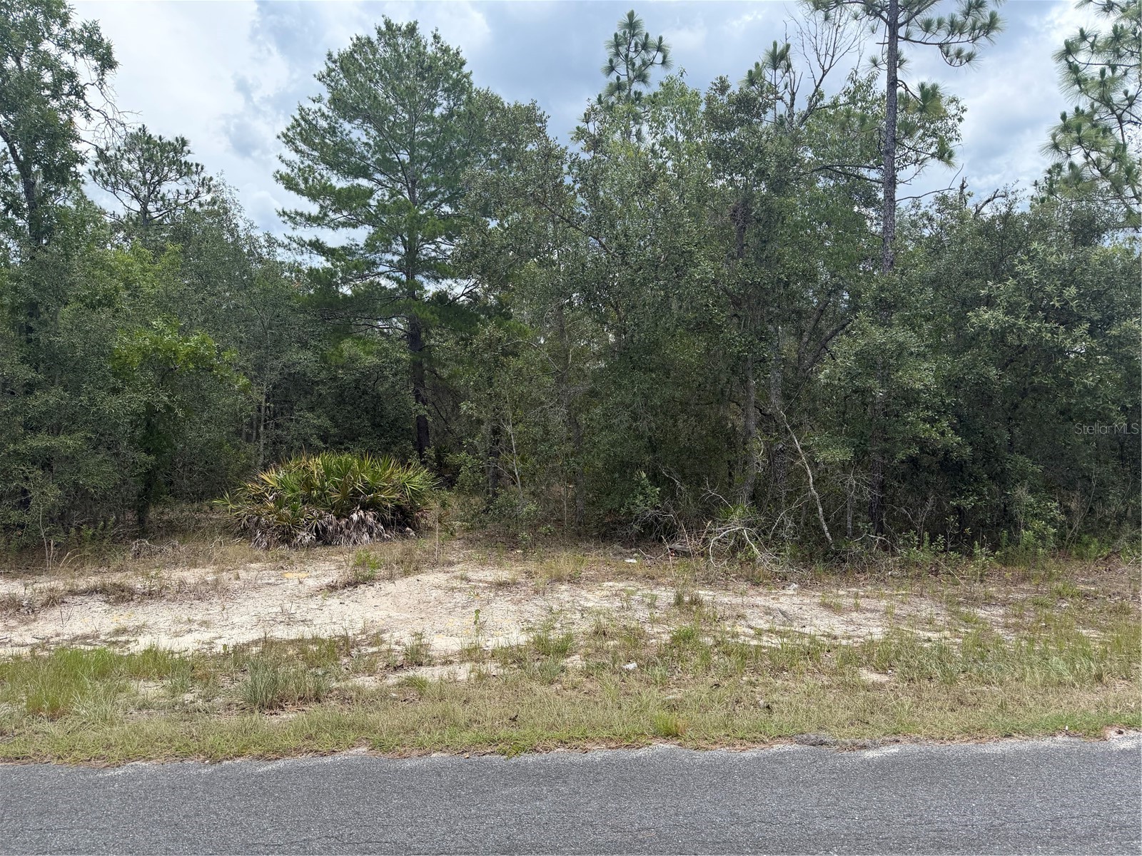 6215 S Premiere Avenue Homosassa FL 34446 W7886607 image3