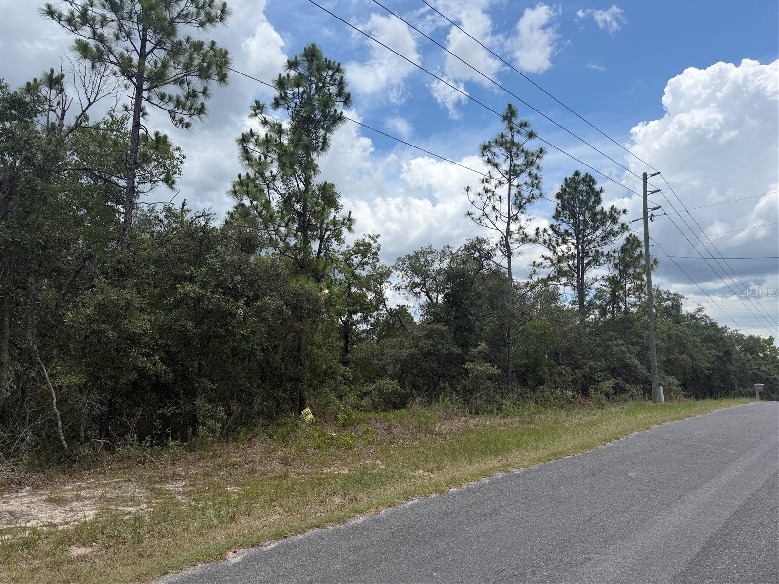 6215 S Premiere Avenue Homosassa FL 34446 W7886636 image1